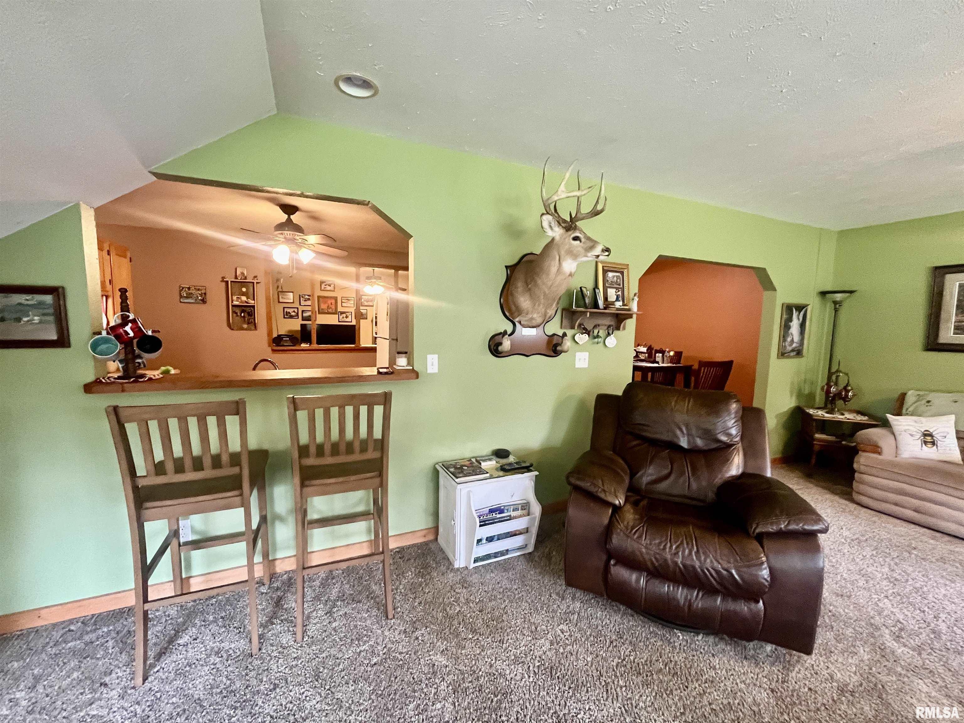 1455 Old Cypress Road Vienna, IL 62995 - Photo 15 of 60 Gallery Image 15