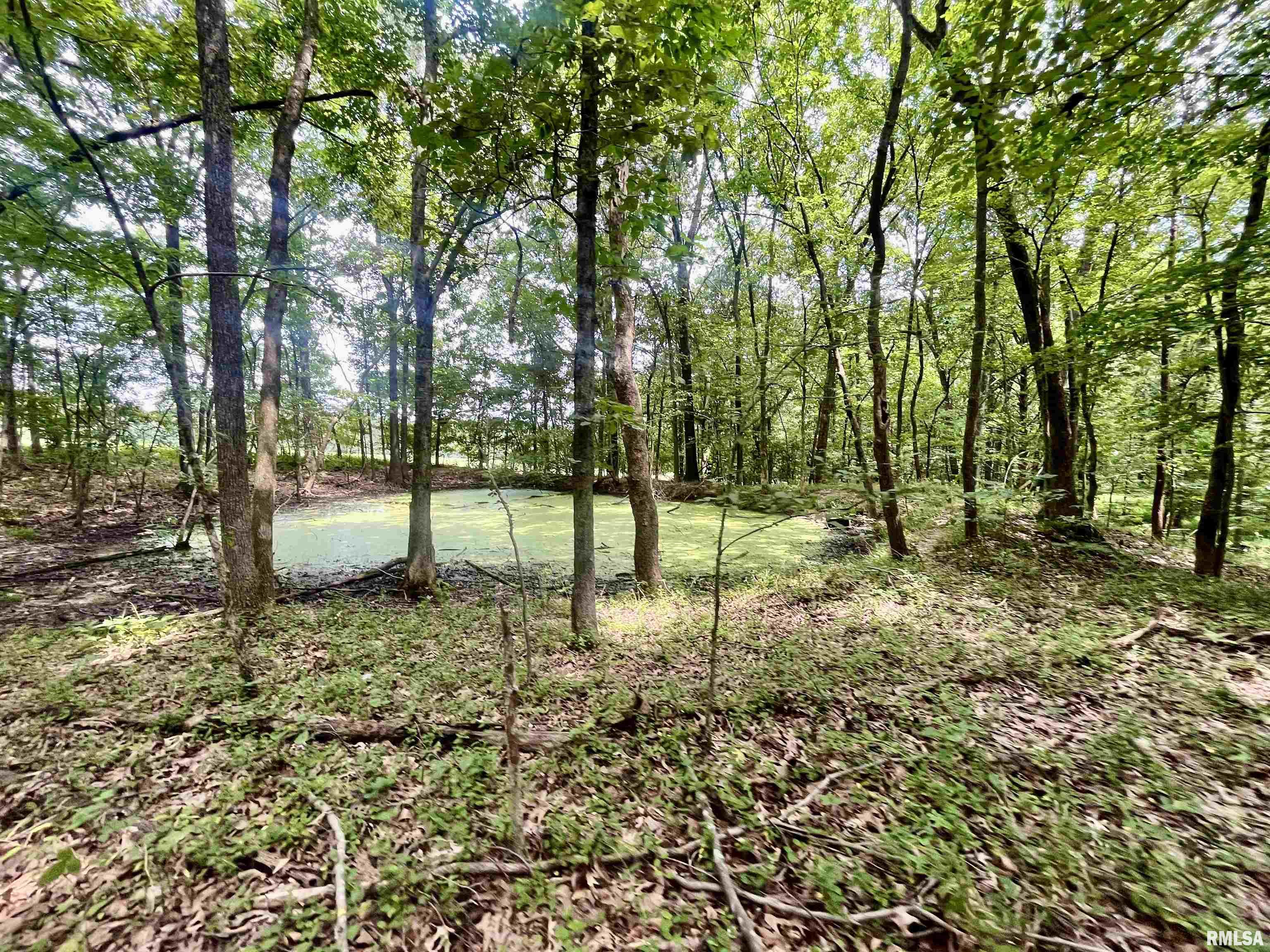 1455 Old Cypress Road Vienna, IL 62995 - Photo 47 of 60 Gallery Image 47