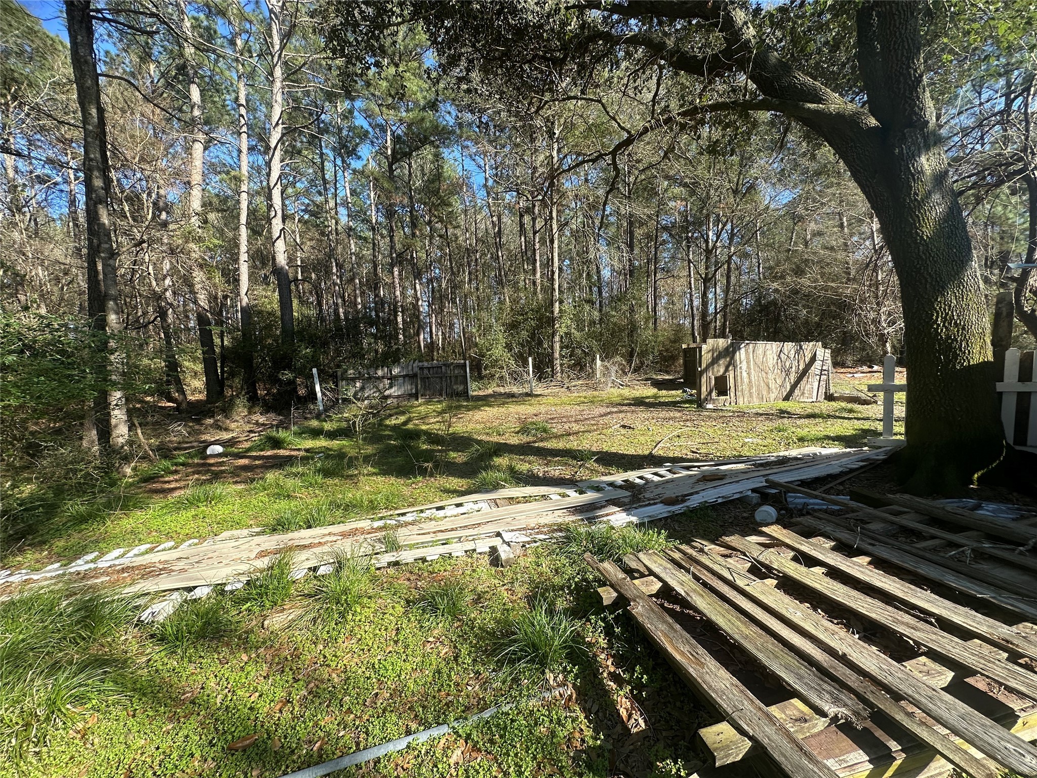 0 9th Street Trinity, TX 75862 - Photo 3 of 5 a view of a yard with wooden fence