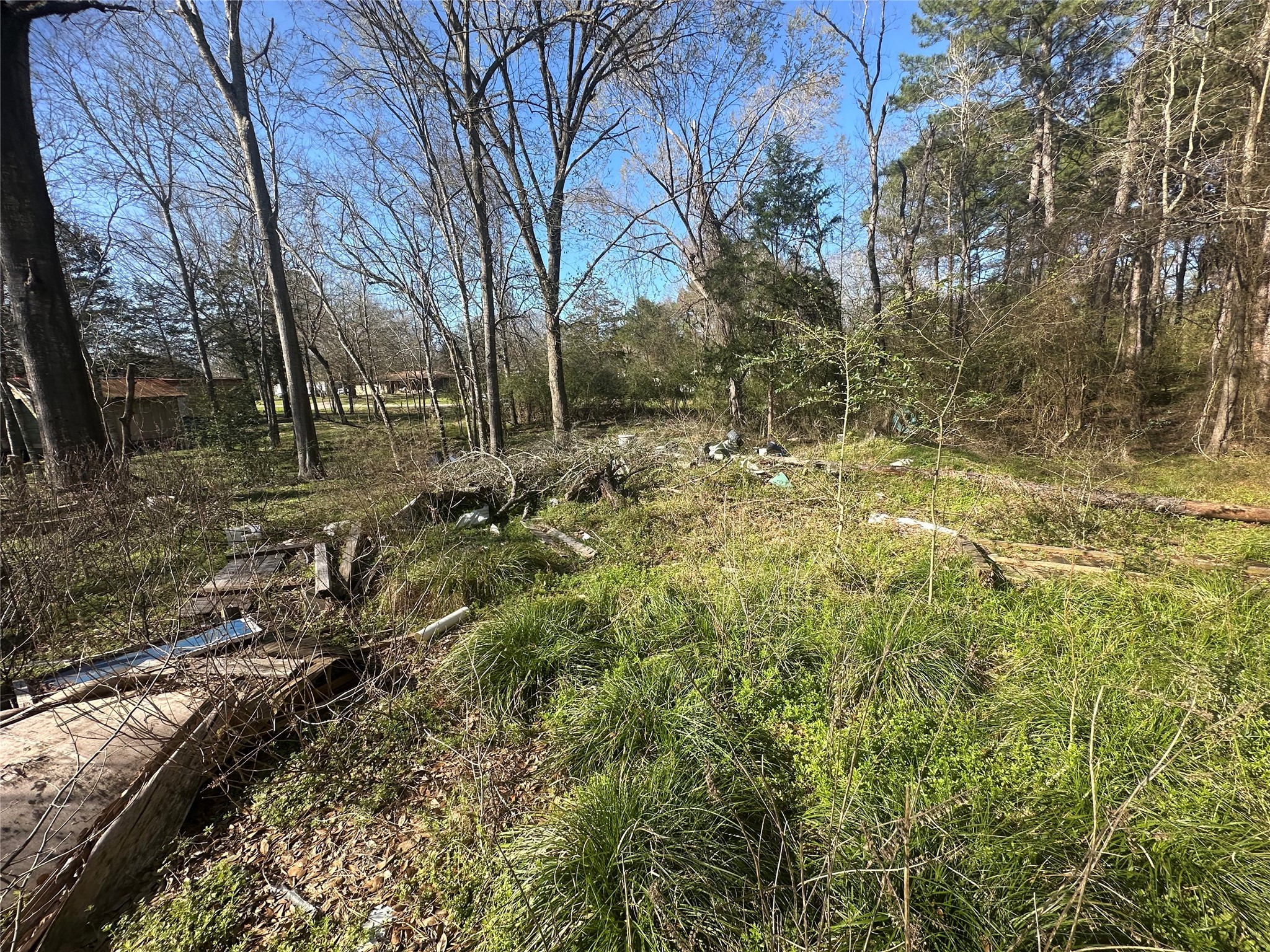 0 9th Street Trinity, TX 75862 - Photo 4 of 5 a view of a yard with plants and trees
