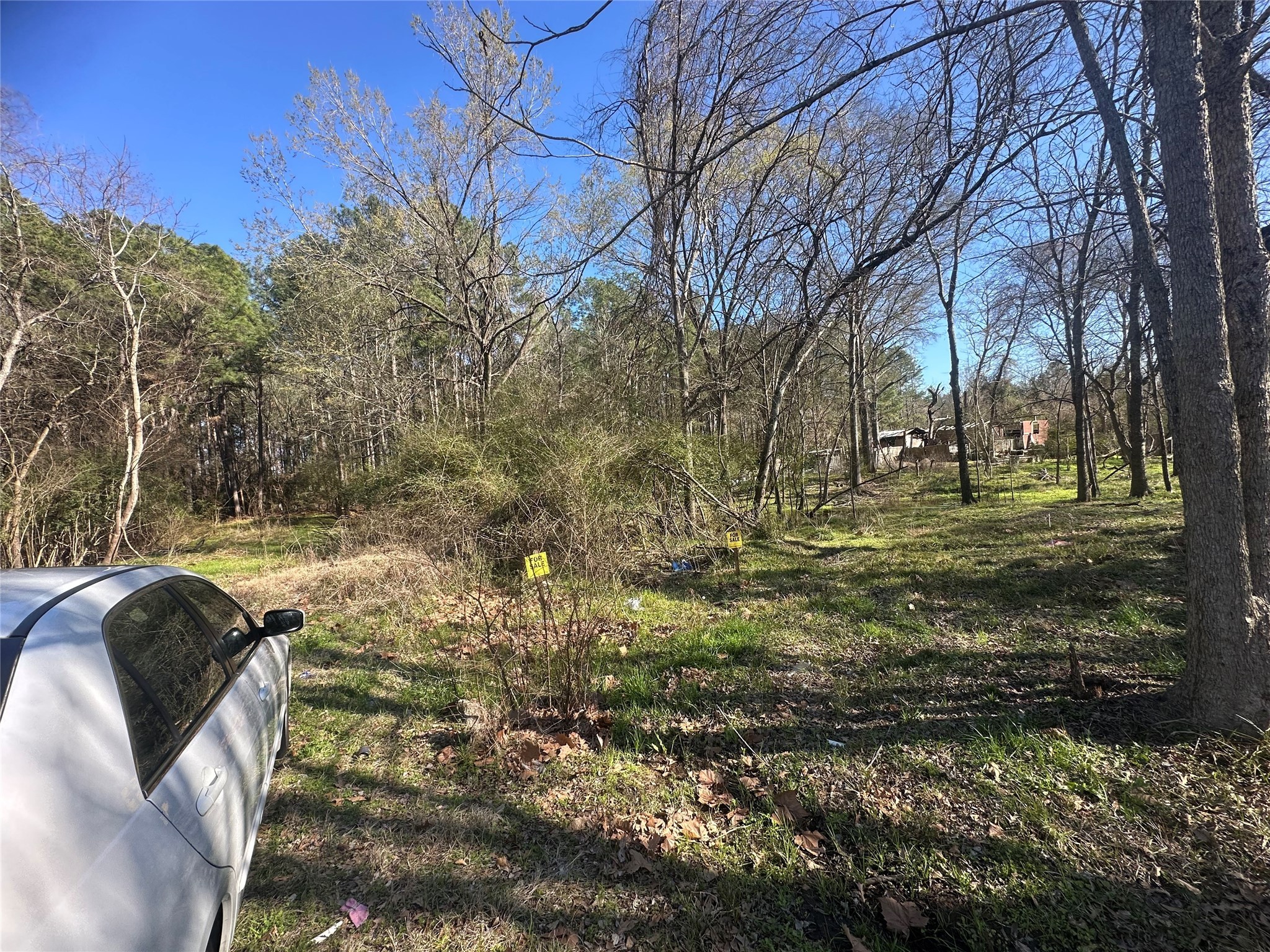 0 9th Street Trinity, TX 75862 - Photo 5 of 5 a view of yard with green space