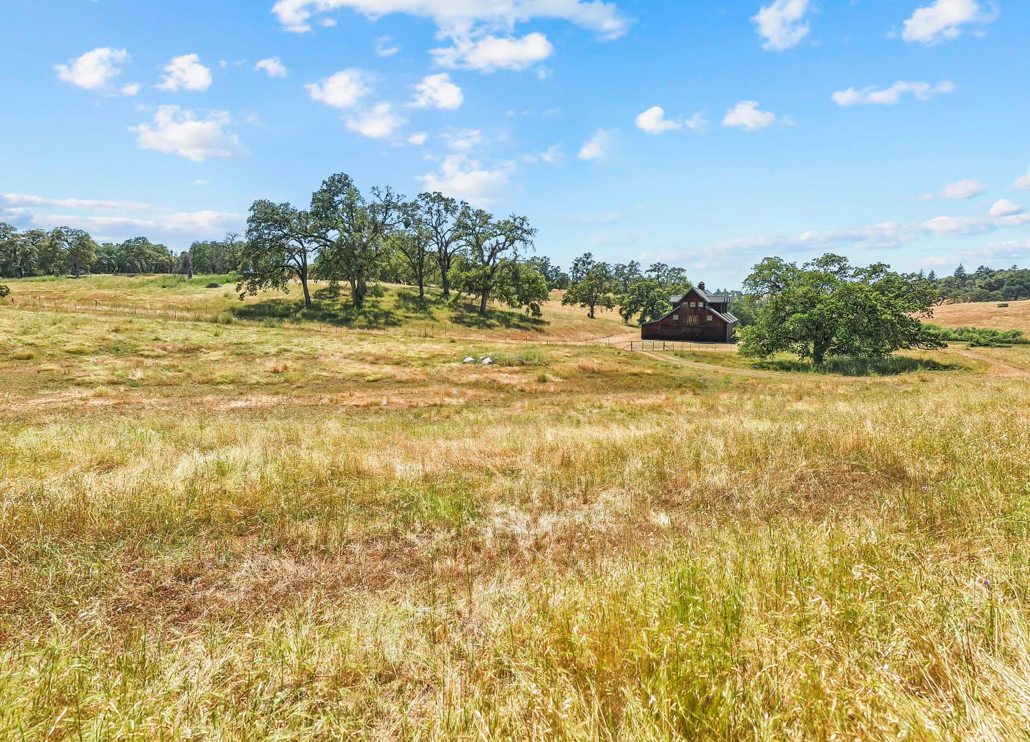 12850 Fiddletown Road Plymouth, CA 95669 - Photo 55 of 88 Expansive grasslands