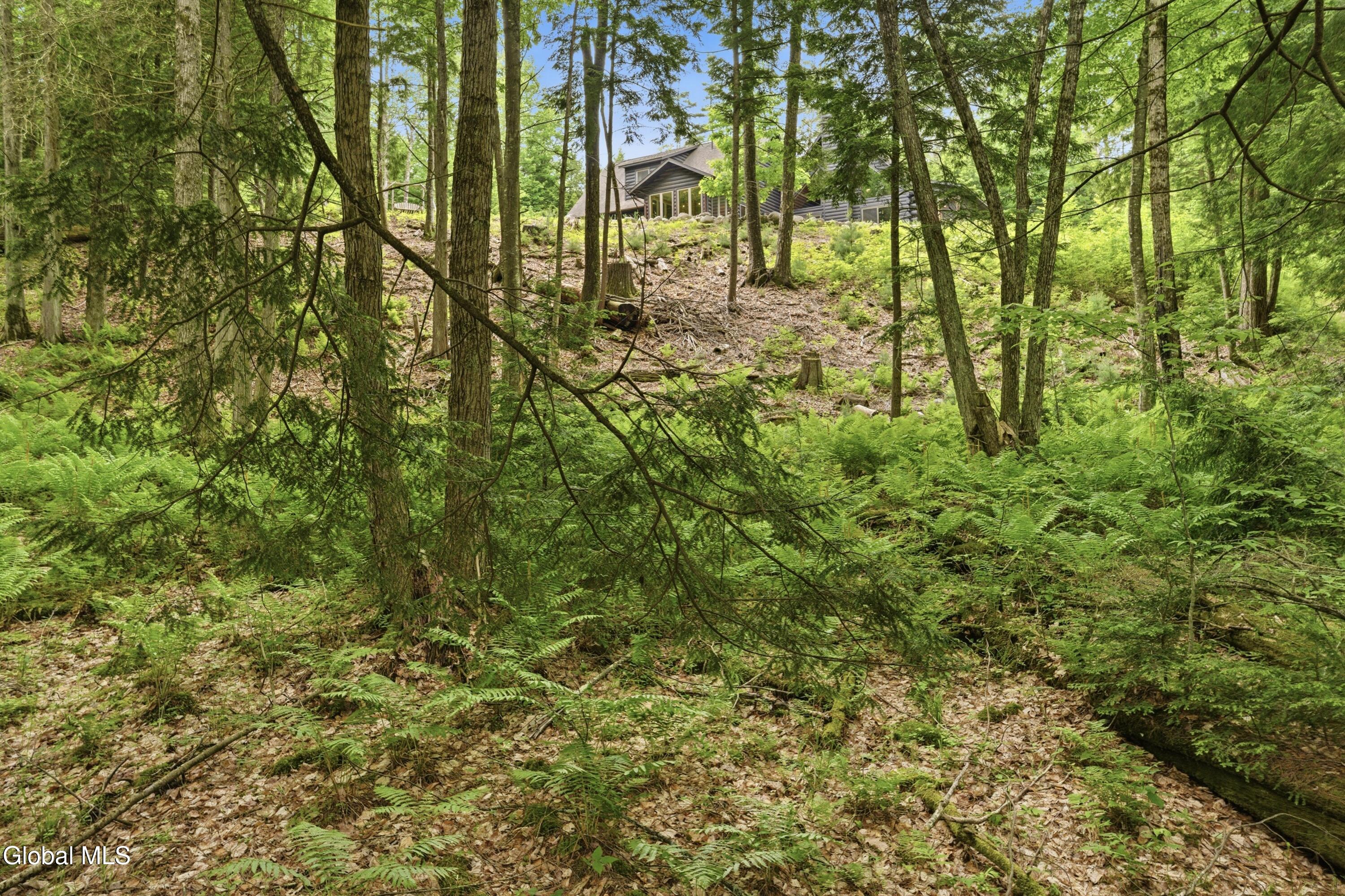 2982 Schroon River Road Chester, NY 12885 - Photo 63 of 69 DOD04454