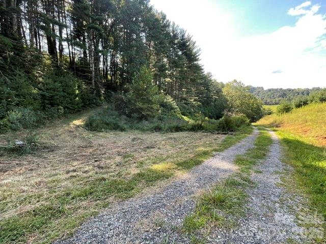 1005 Roberts Branch Road Marshall, NC 28753 - Photo 2 of 8 Gallery Image 2