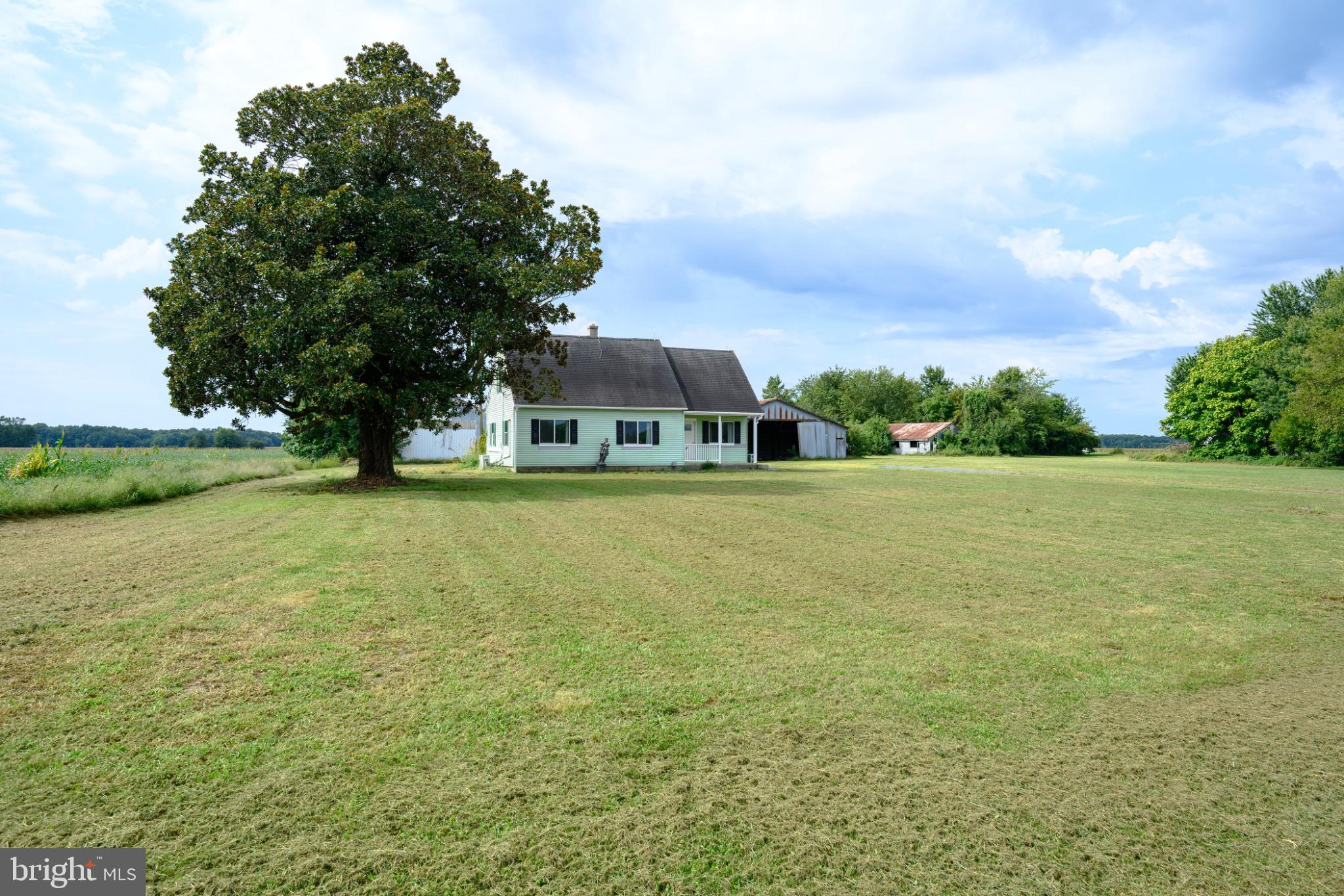 25699 Auction Road Federalsburg, MD 21632 - Photo 34 of 44 Gallery Image 34