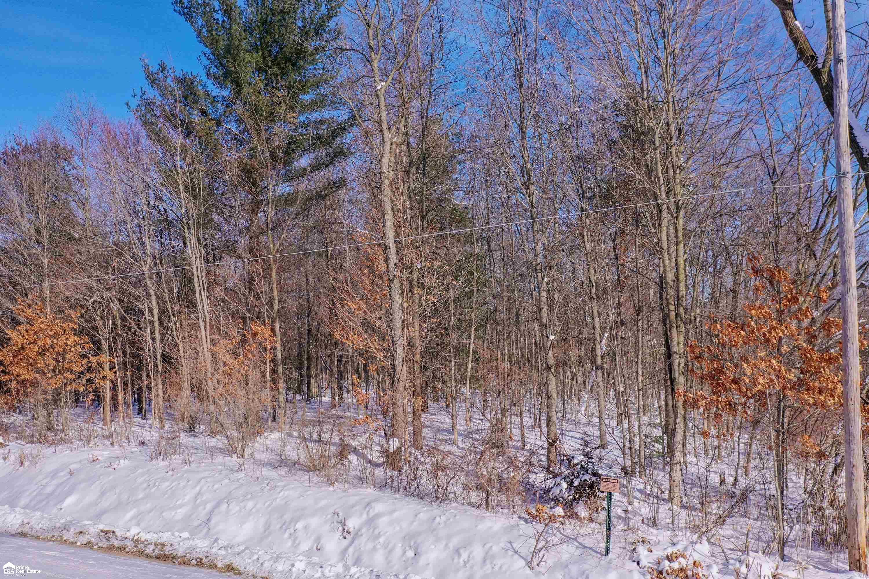 V/l River Grove Road Flushing, MI 48433 - Photo 3 of 10