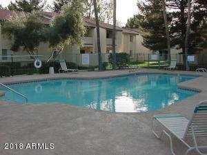 623 West Guadalupe Road, Unit 237 Mesa, AZ 85210 - Photo 18 of 20 Fenced pool