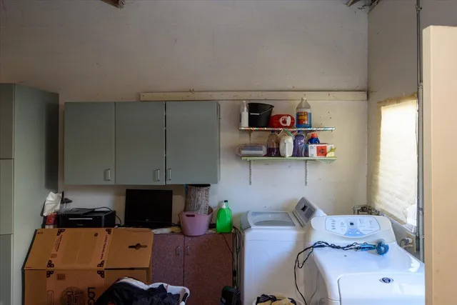 a room with furniture and a potted plant