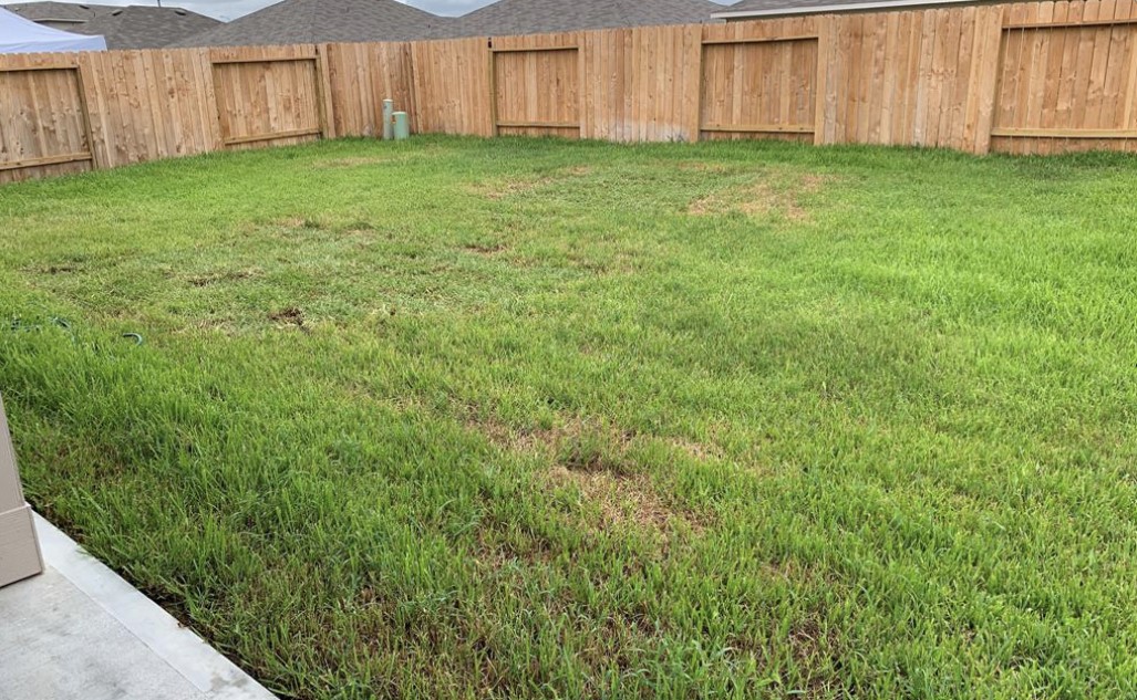 21310 Riverdew Drive Katy, TX 77449 - Photo 12 of 12 a view of a backyard with barn