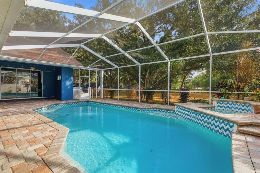 3042 Colonial Ridge Drive Brandon, FL 33511 - Photo 58 of 77