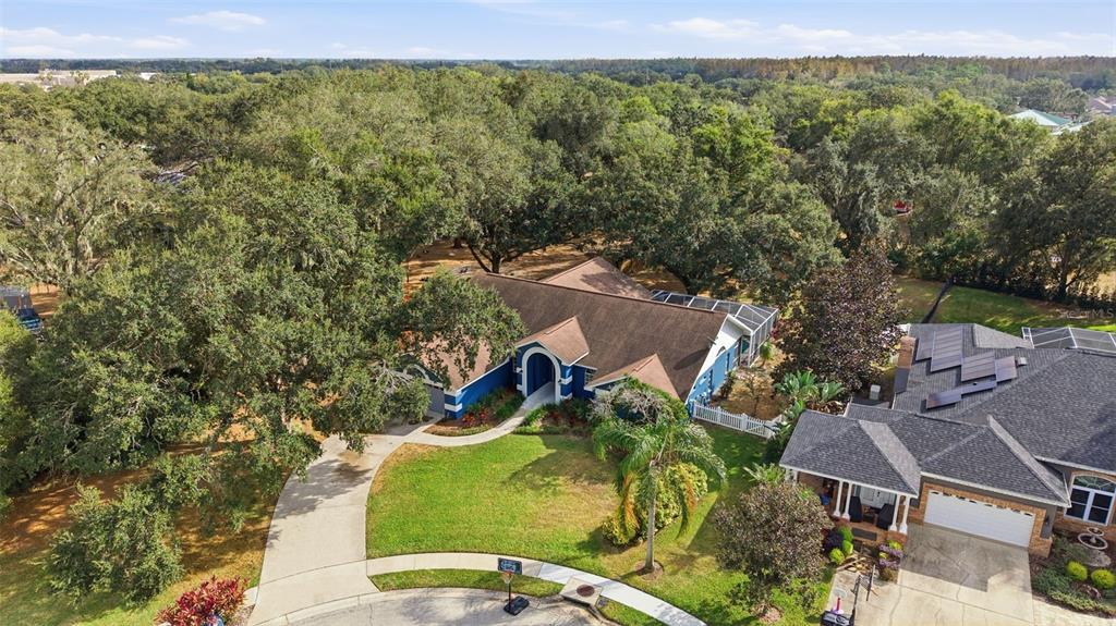 3042 Colonial Ridge Drive Brandon, FL 33511 - Photo 77 of 77