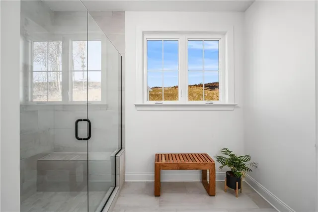 a bathroom with a shower and a window