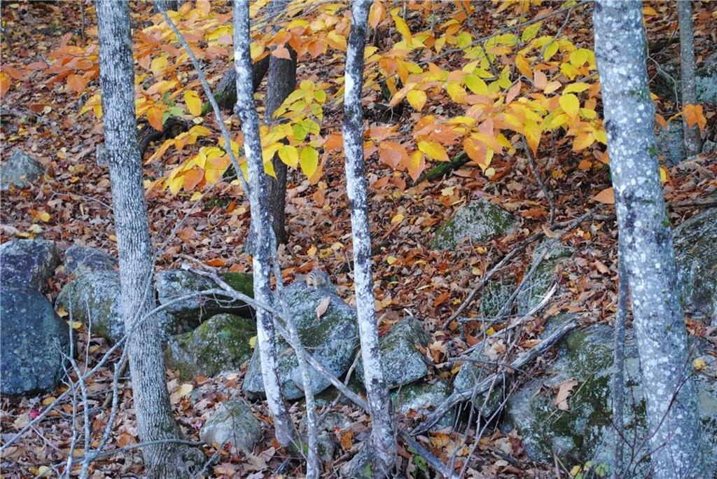 86 B Stone Hill Road Limerick, ME 04048 - Photo 10 of 14 Photo