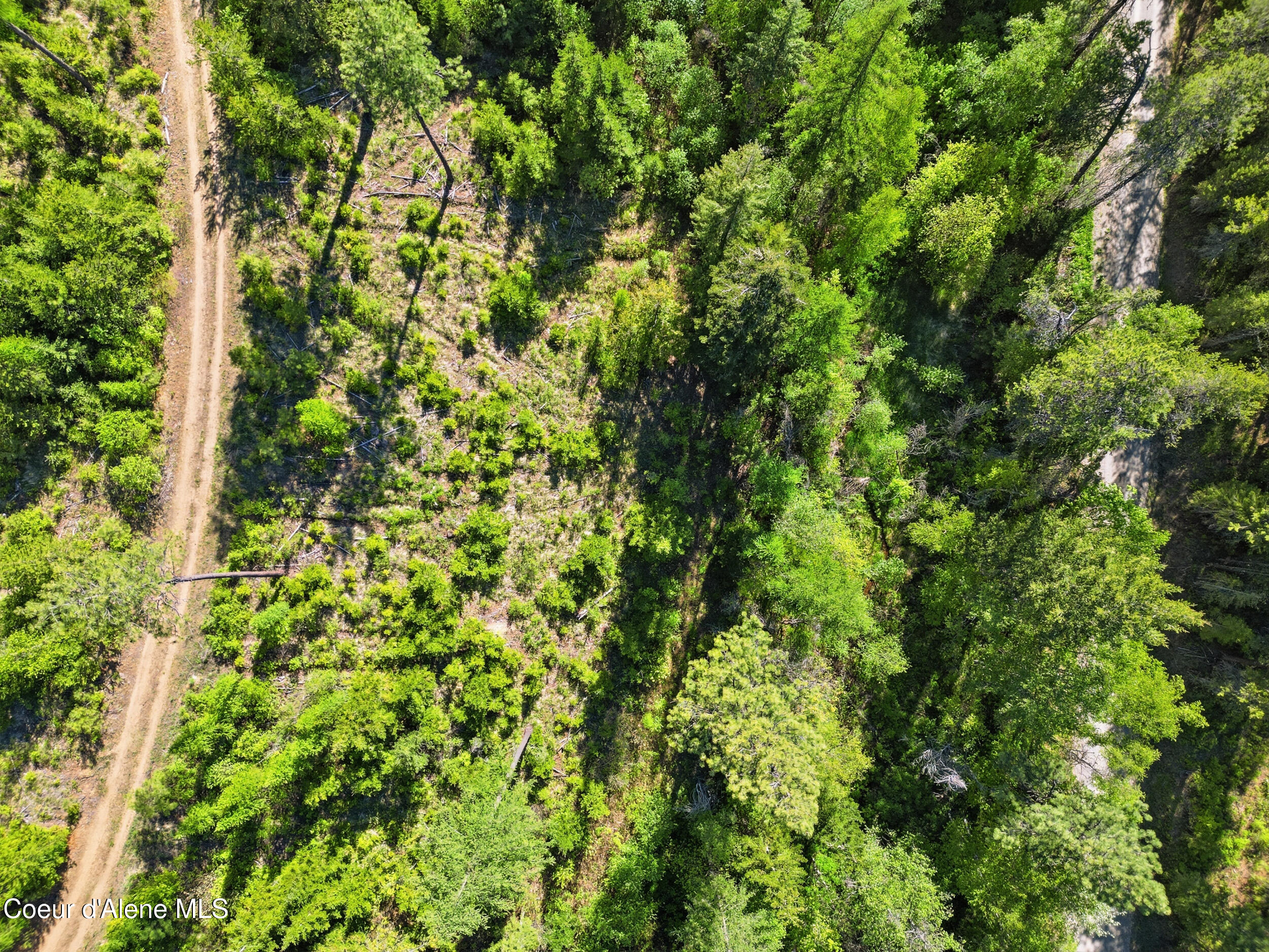 Nna Nna Stone Road Blanchard, ID 83804 - Photo 20 of 27 56_dji_0825