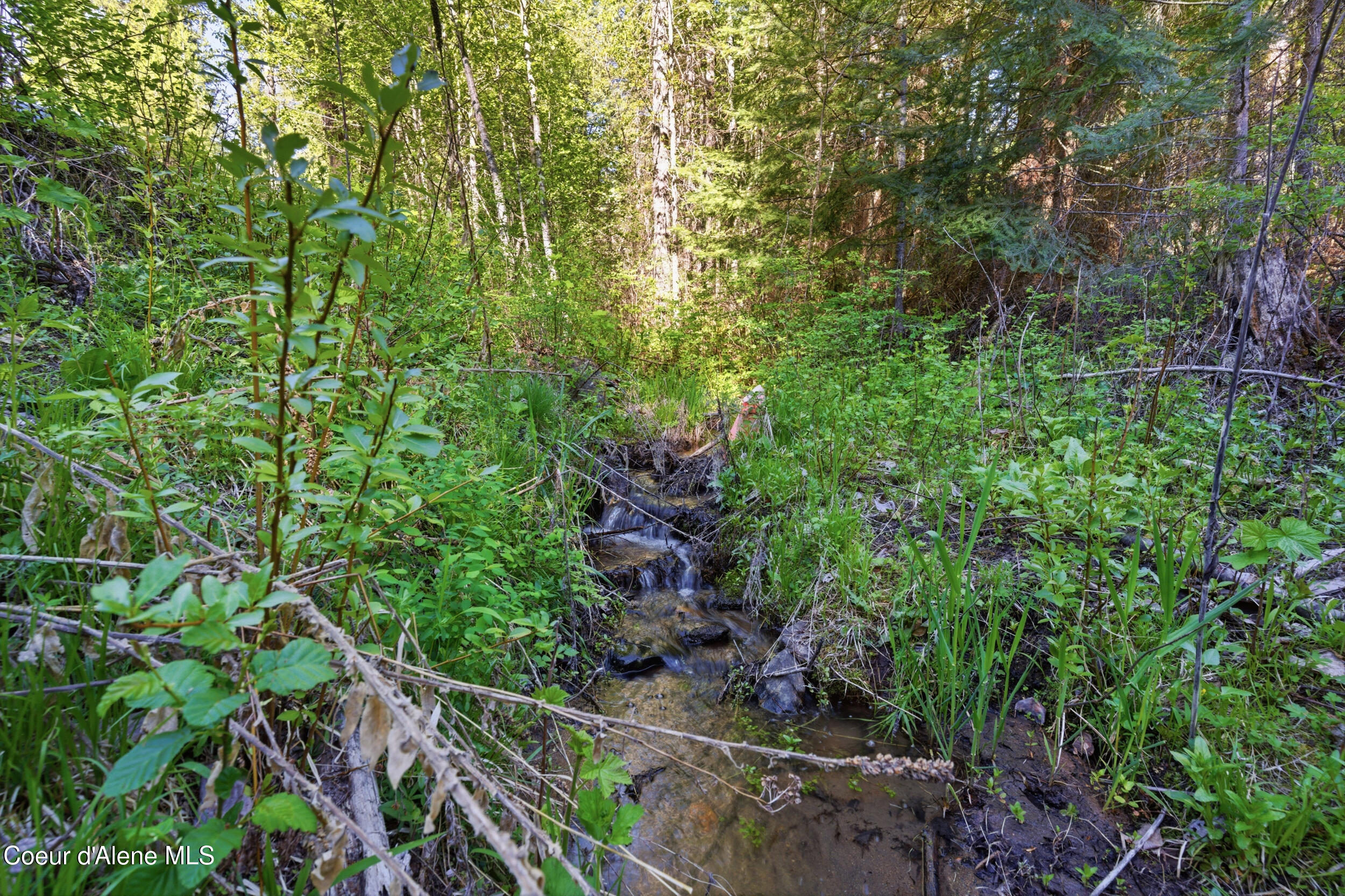 Nna Nna Stone Road Blanchard, ID 83804 - Photo 2 of 27 64__dsc5620