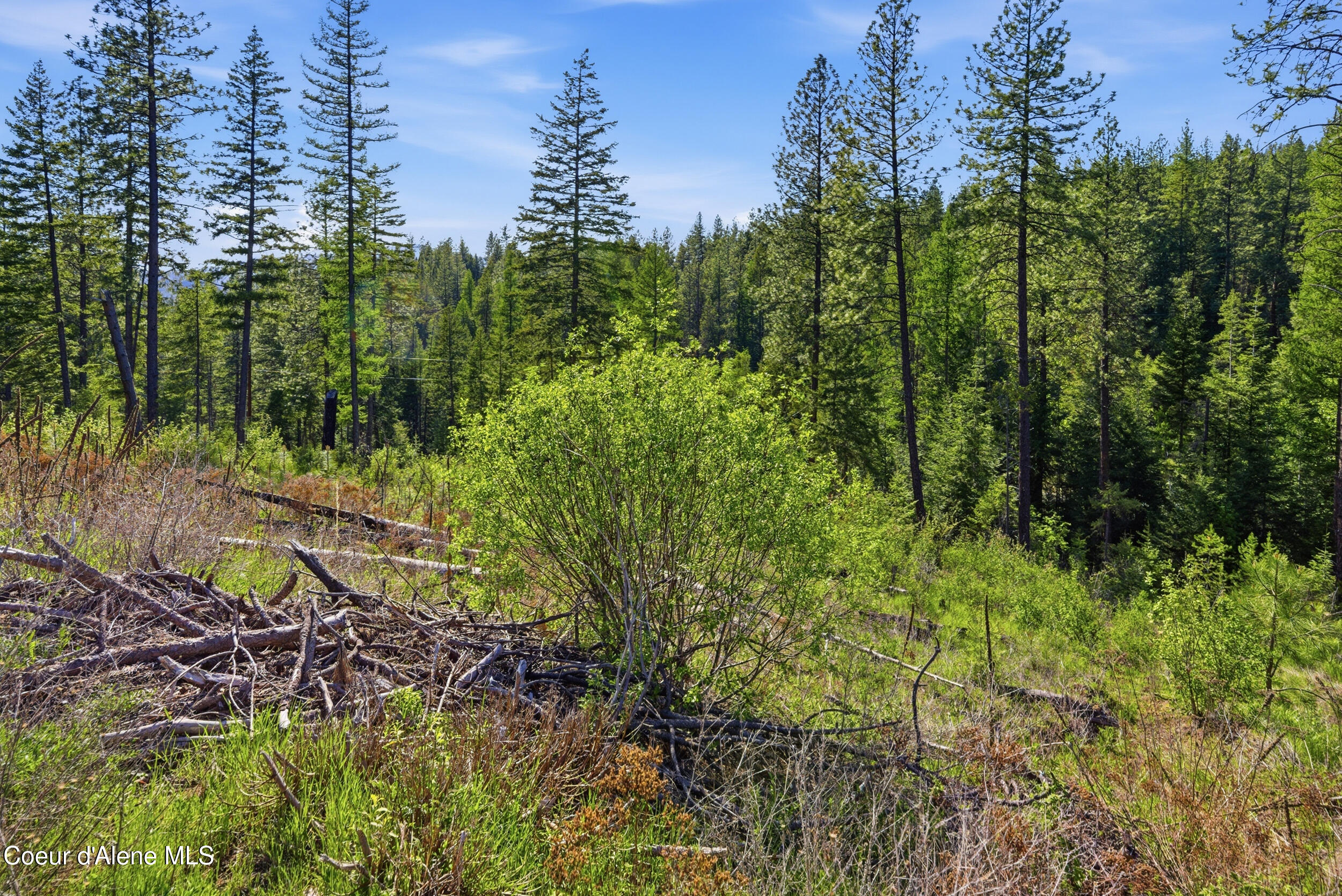 Nna Nna Stone Road Blanchard, ID 83804 - Photo 22 of 27 58__dsc5593