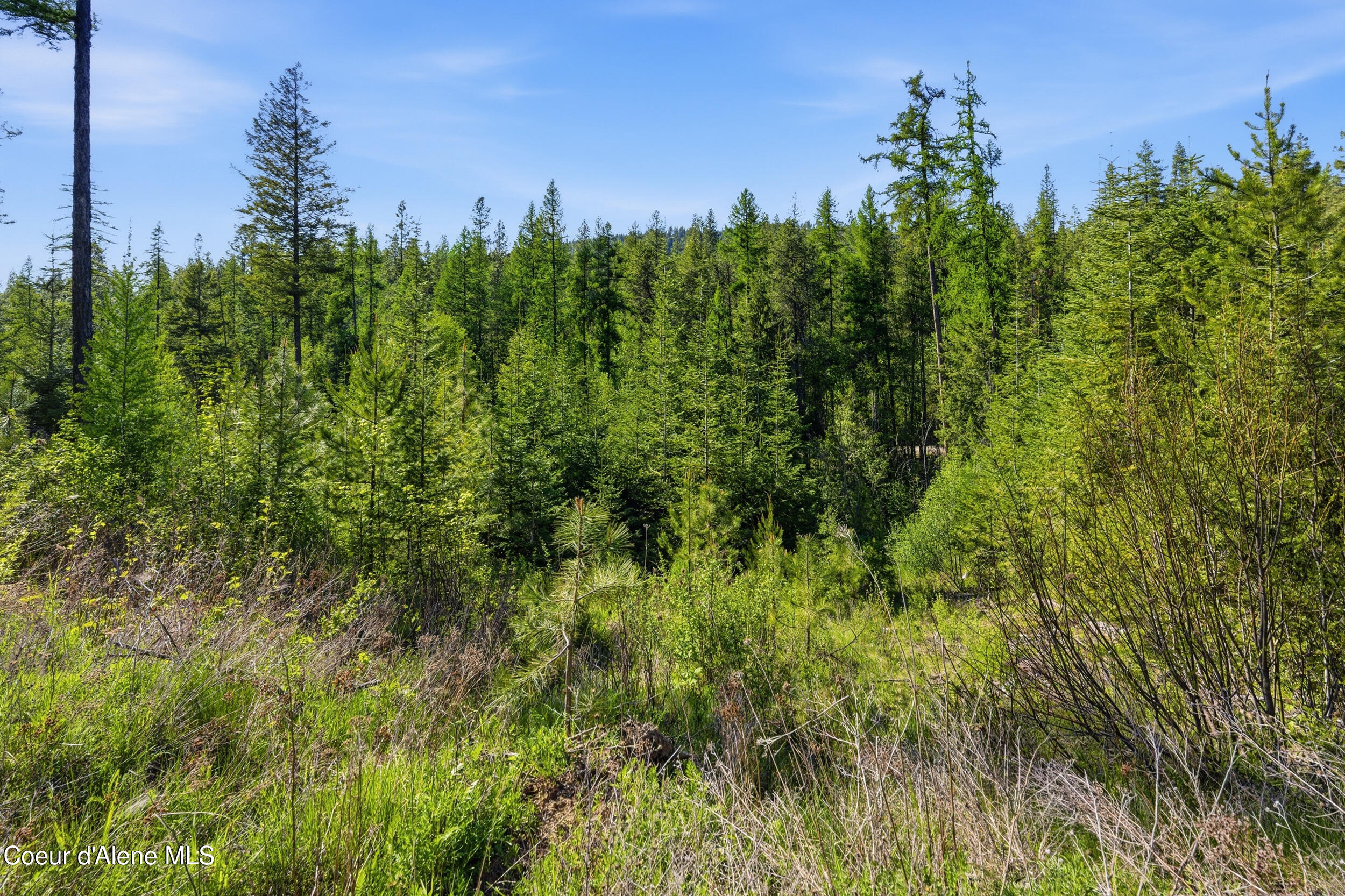 Nna Nna Stone Road Blanchard, ID 83804 - Photo 25 of 27 61__dsc5605