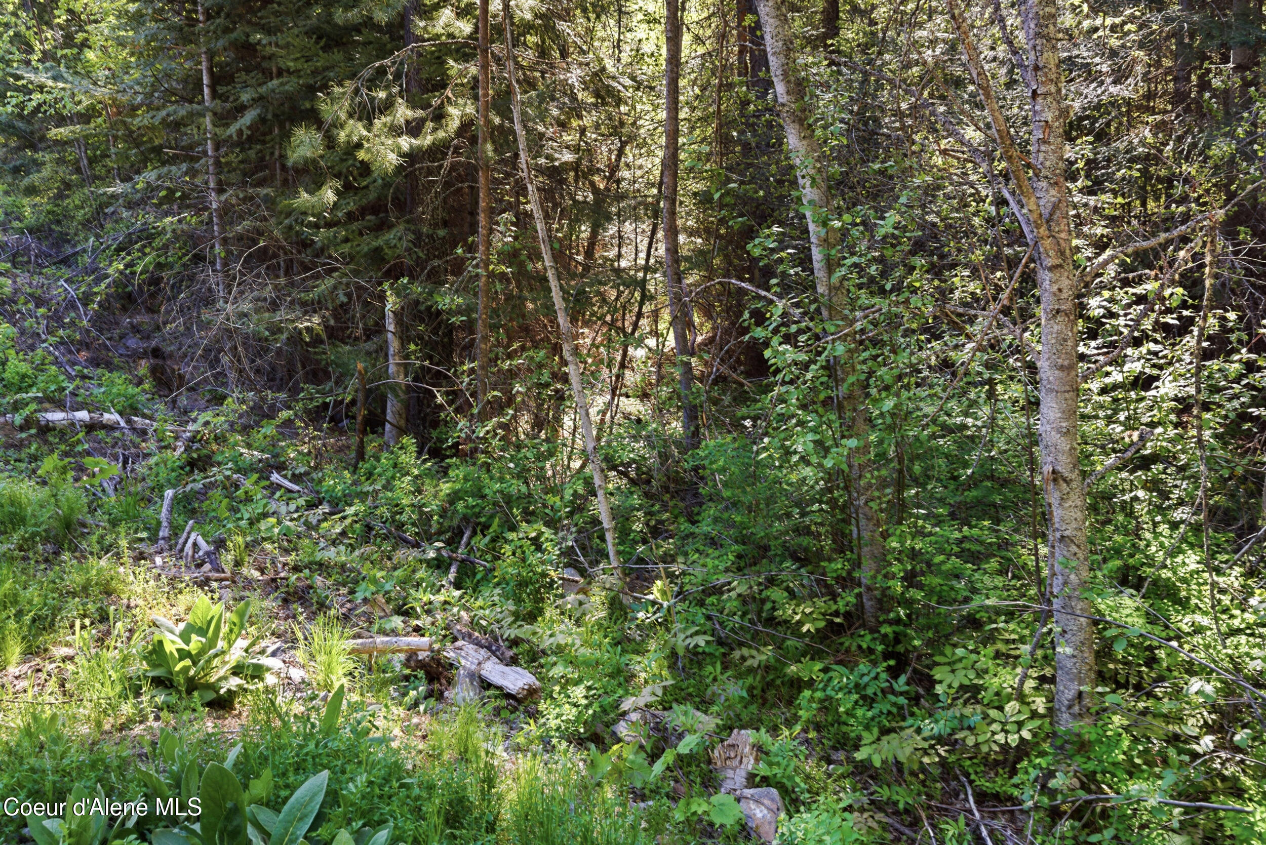 Nna Nna Stone Road Blanchard, ID 83804 - Photo 26 of 27 62__dsc5614