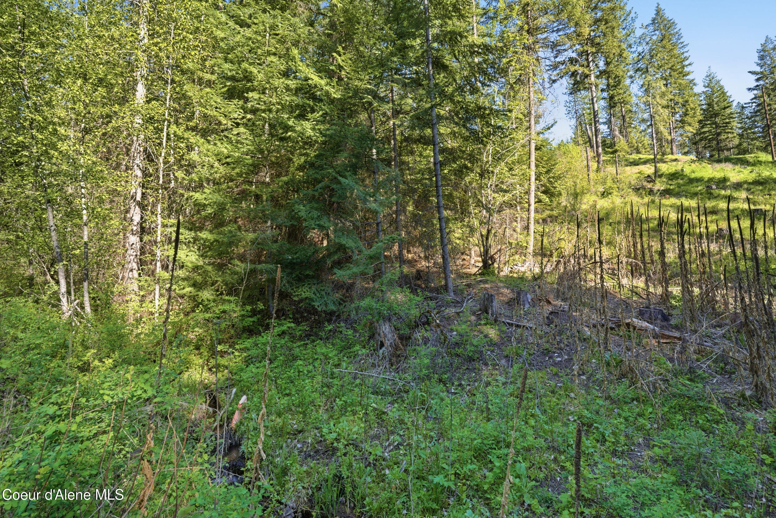 Nna Nna Stone Road Blanchard, ID 83804 - Photo 27 of 27 63__dsc5617