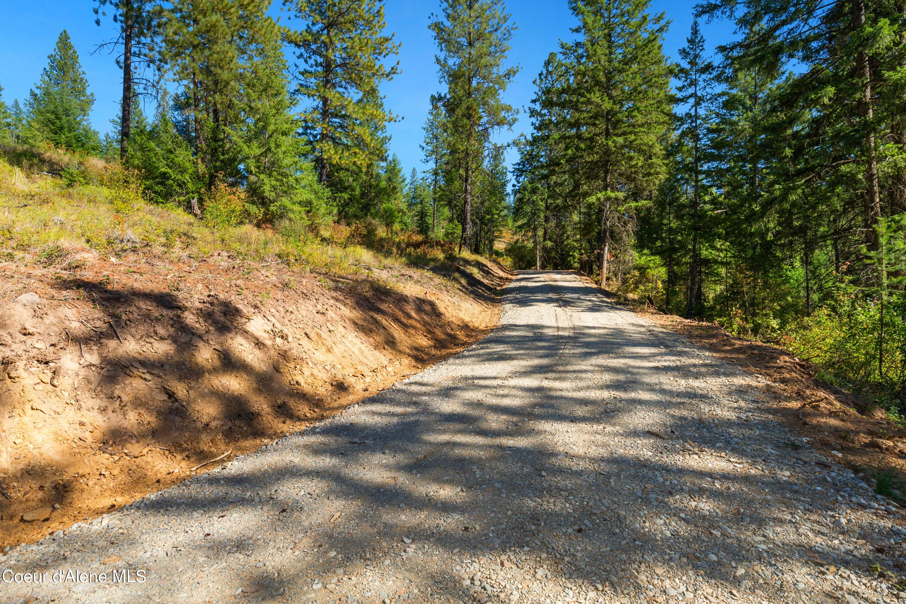Nna Nna Stone Road Blanchard, ID 83804 - Photo 5 of 27 EasyStoneLOT_04