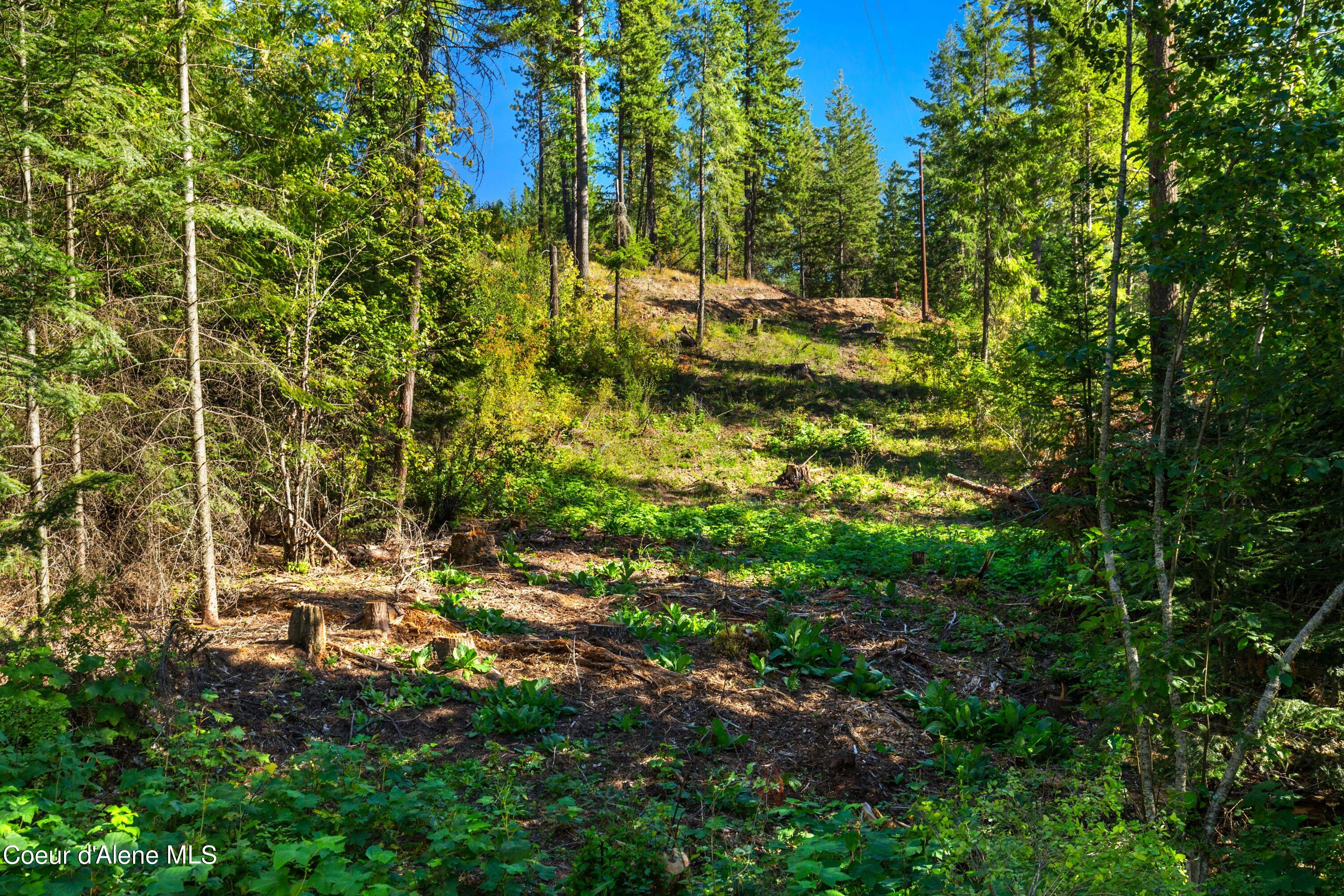 Nna Nna Stone Road Blanchard, ID 83804 - Photo 7 of 27 EasyStoneLOT_15