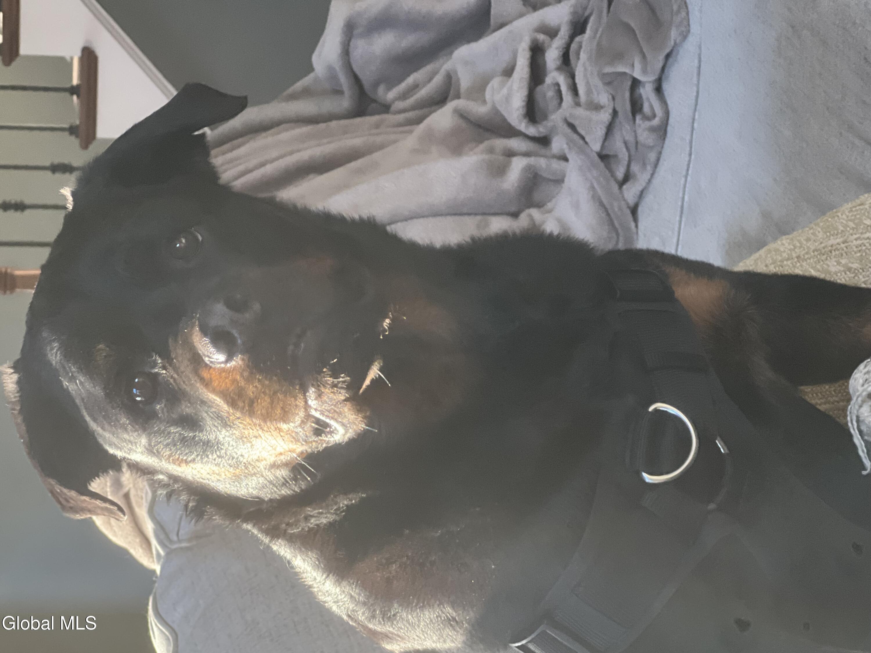 80 A Schuurman Road Schodack, NY 12033 - Photo 32 of 41 70467516386__BF483619-4689-4154-9355-2D2