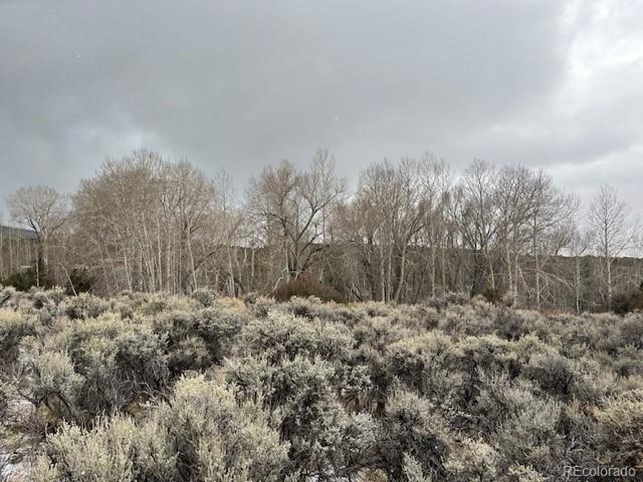 a view of a covered with trees