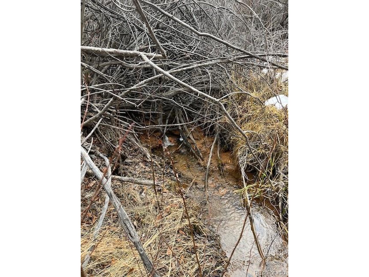 2242 Slegers Road Fort Garland, CO 81133 - Photo 11 of 35 a close up of a shower in a bathroom