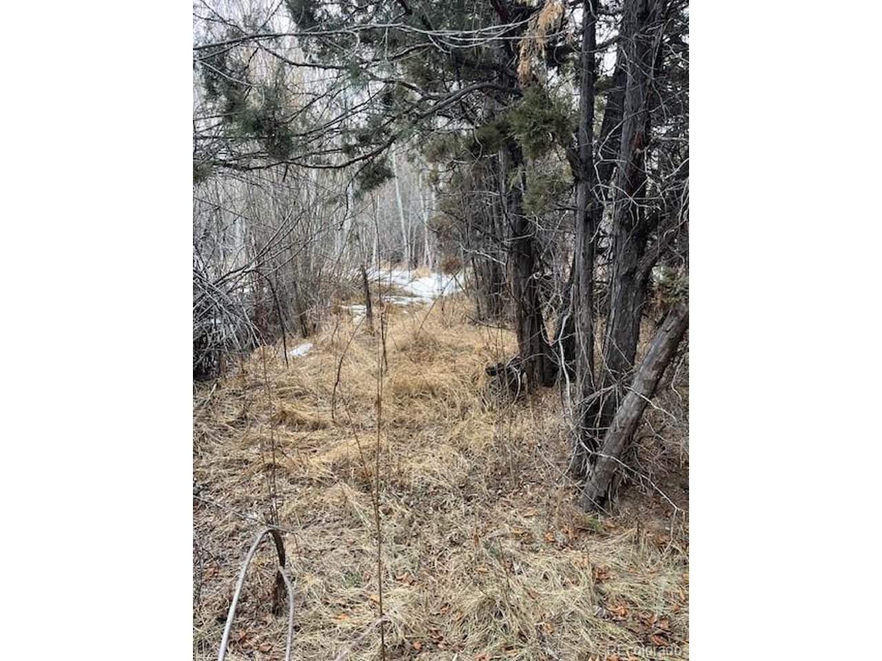 2242 Slegers Road Fort Garland, CO 81133 - Photo 12 of 35 a bathroom with a sink