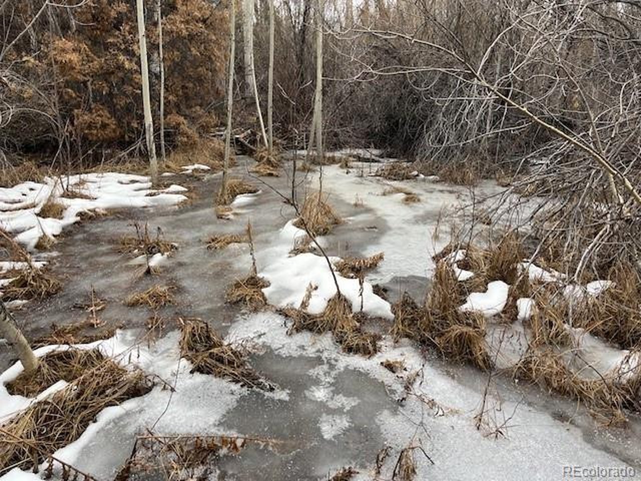 2242 Slegers Road Fort Garland, CO 81133 - Photo 14 of 35 a view of snow on side of road