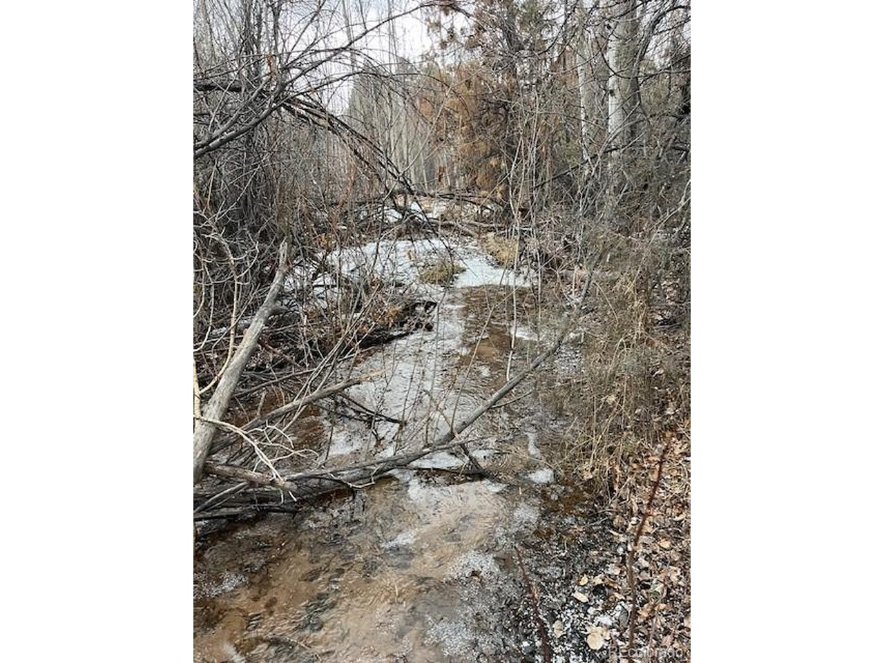 2242 Slegers Road Fort Garland, CO 81133 - Photo 15 of 35 a close up of a snow in a forest