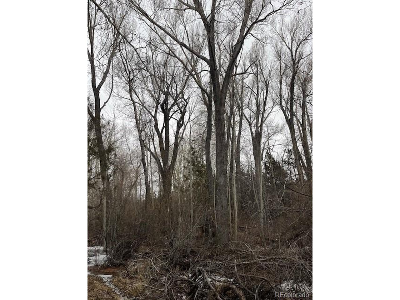 2242 Slegers Road Fort Garland, CO 81133 - Photo 17 of 35 a view of a backyard