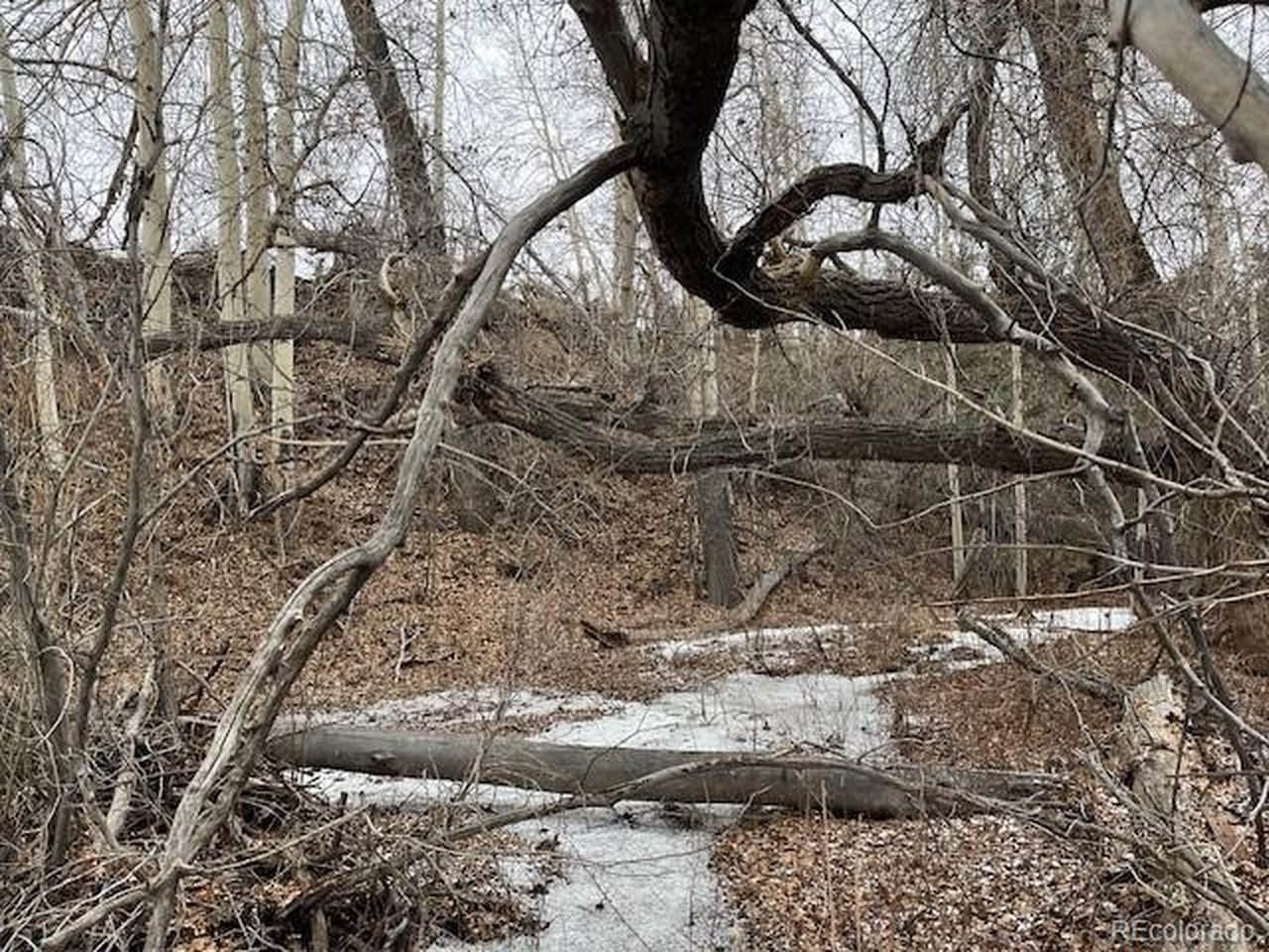 2242 Slegers Road Fort Garland, CO 81133 - Photo 18 of 35 a backyard of a house with a yard and wooden fence