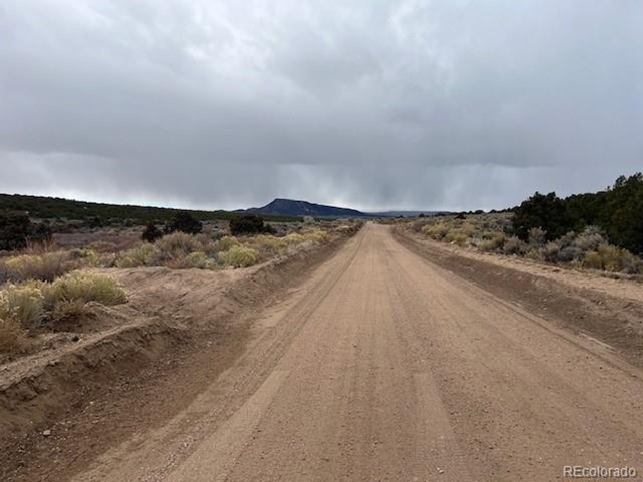 2242 Slegers Road Fort Garland, CO 81133 - Photo 2 of 35 a view of a dry yard with wooden floor