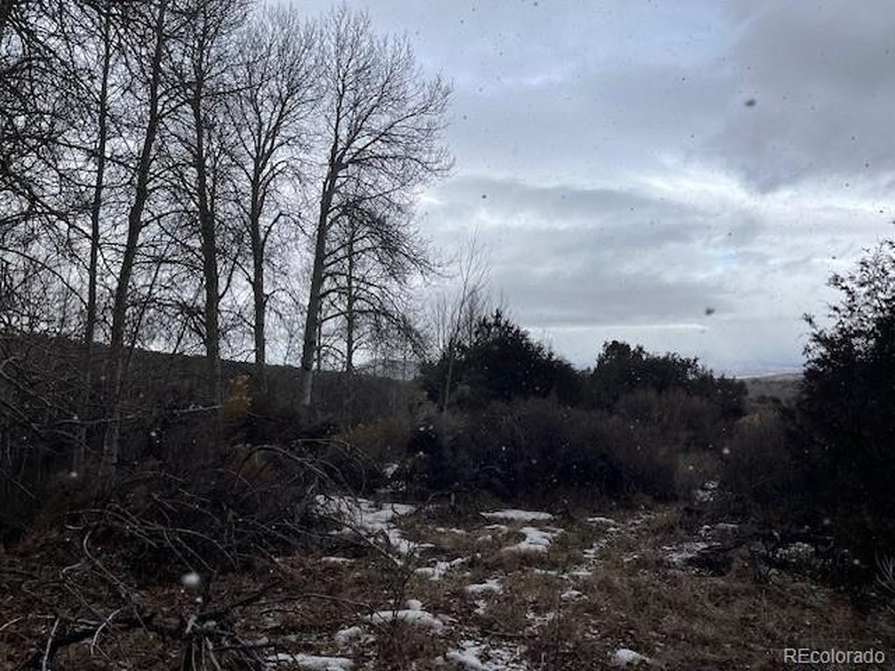 2242 Slegers Road Fort Garland, CO 81133 - Photo 26 of 35 a view of outdoor space and yard
