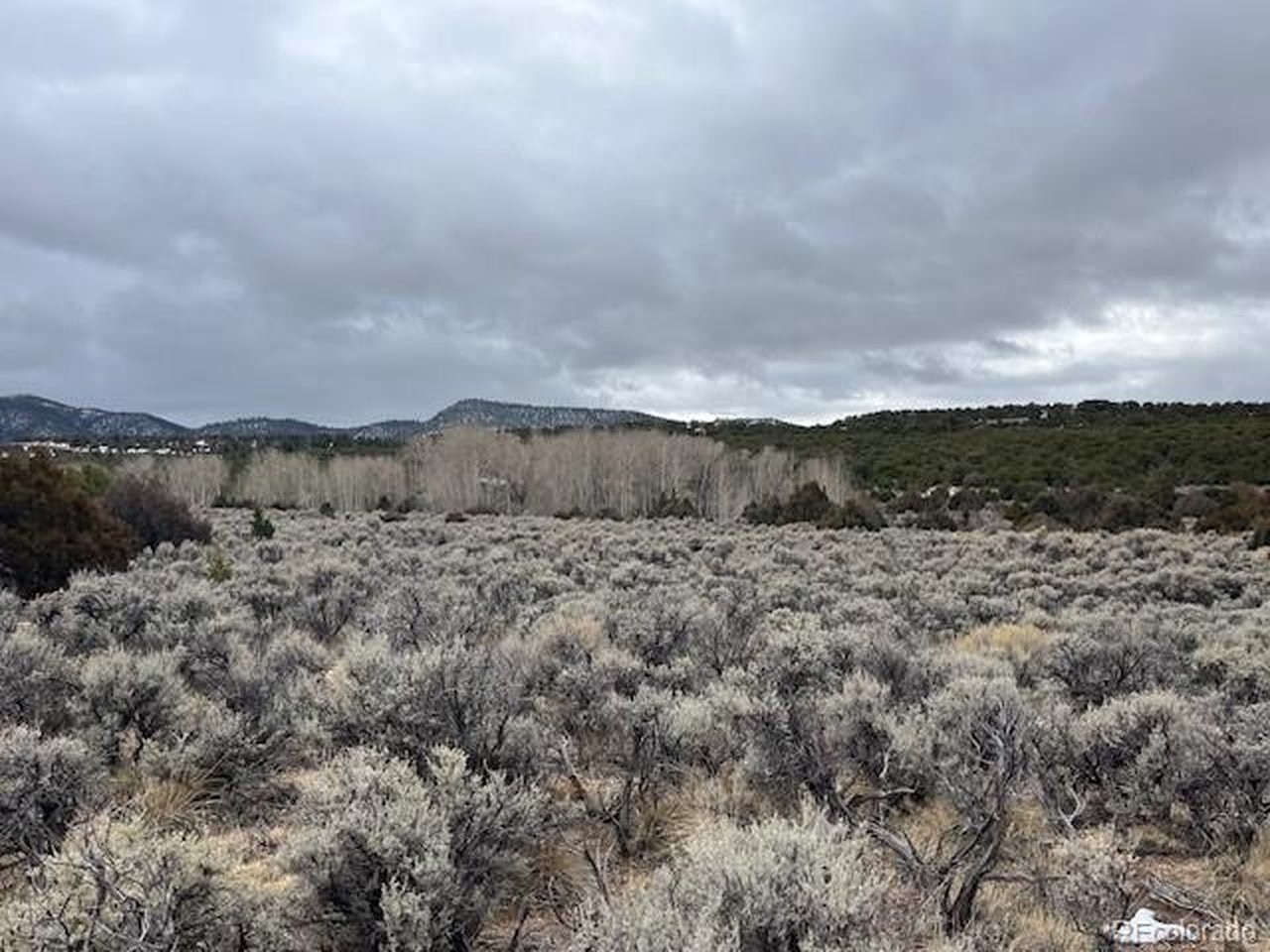 2242 Slegers Road Fort Garland, CO 81133 - Photo 7 of 35 a view of a dry yard with wooden fence