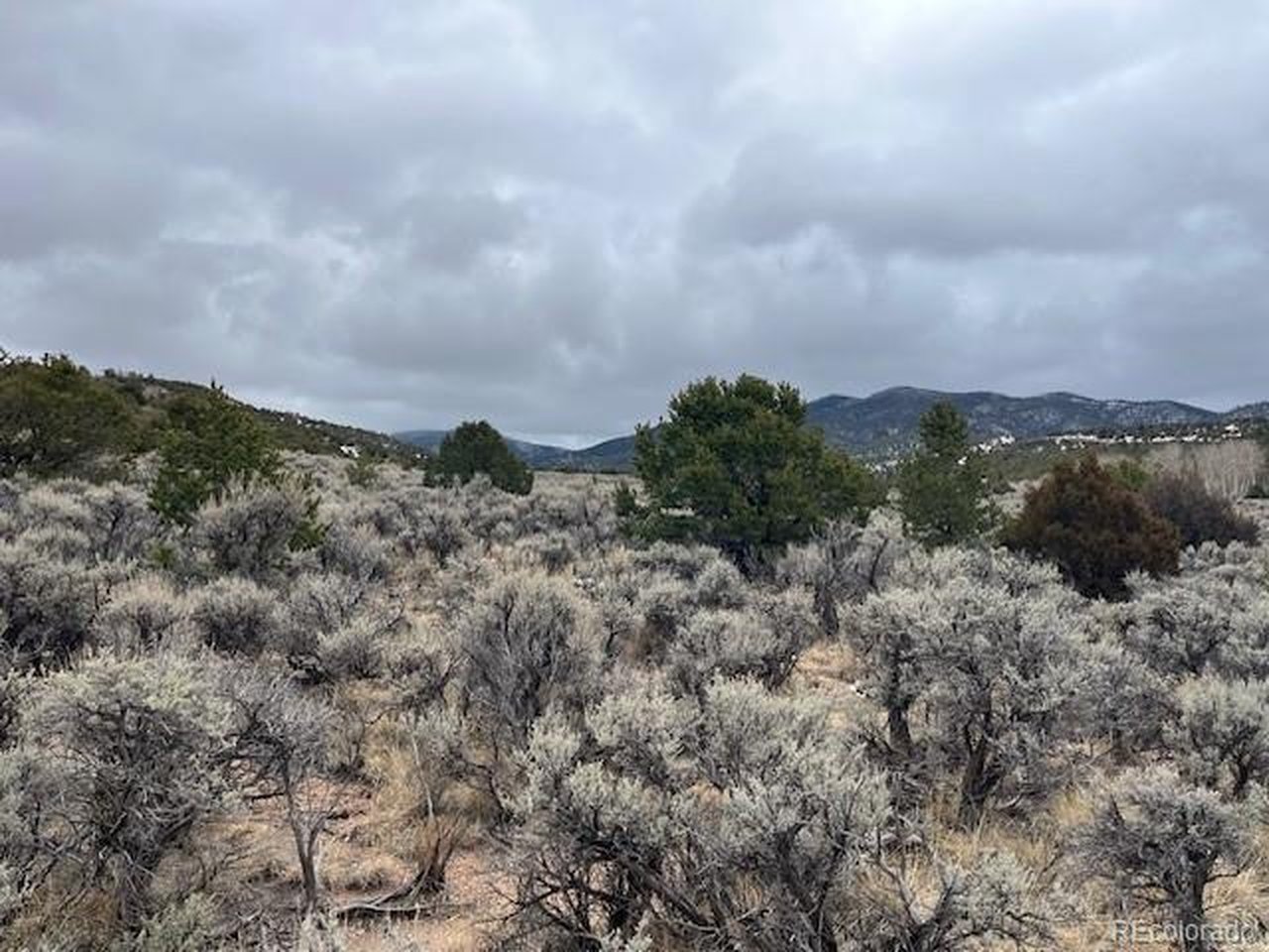 2242 Slegers Road Fort Garland, CO 81133 - Photo 8 of 35 a view of a bunch of trees in a field