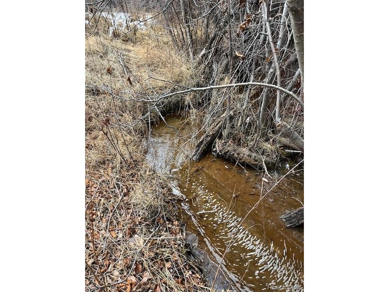 2242 Slegers Road Fort Garland, CO 81133 - Photo 9 of 35