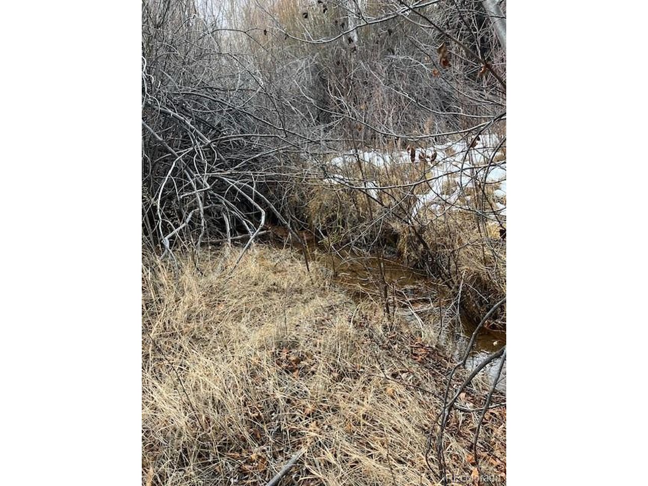 2242 Slegers Road Fort Garland, CO 81133 - Photo 10 of 35 a close up of a wall