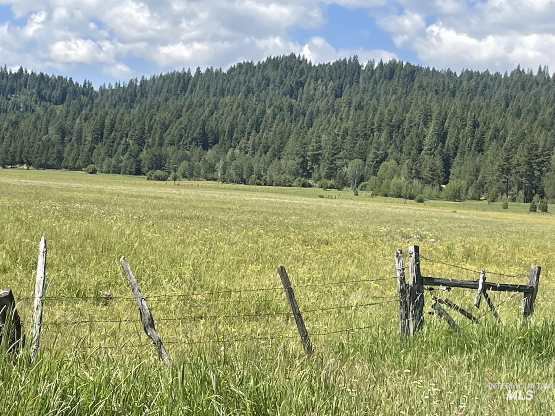163.21-ac Gray Lane Cascade, ID 83611 - Photo 2 of 12