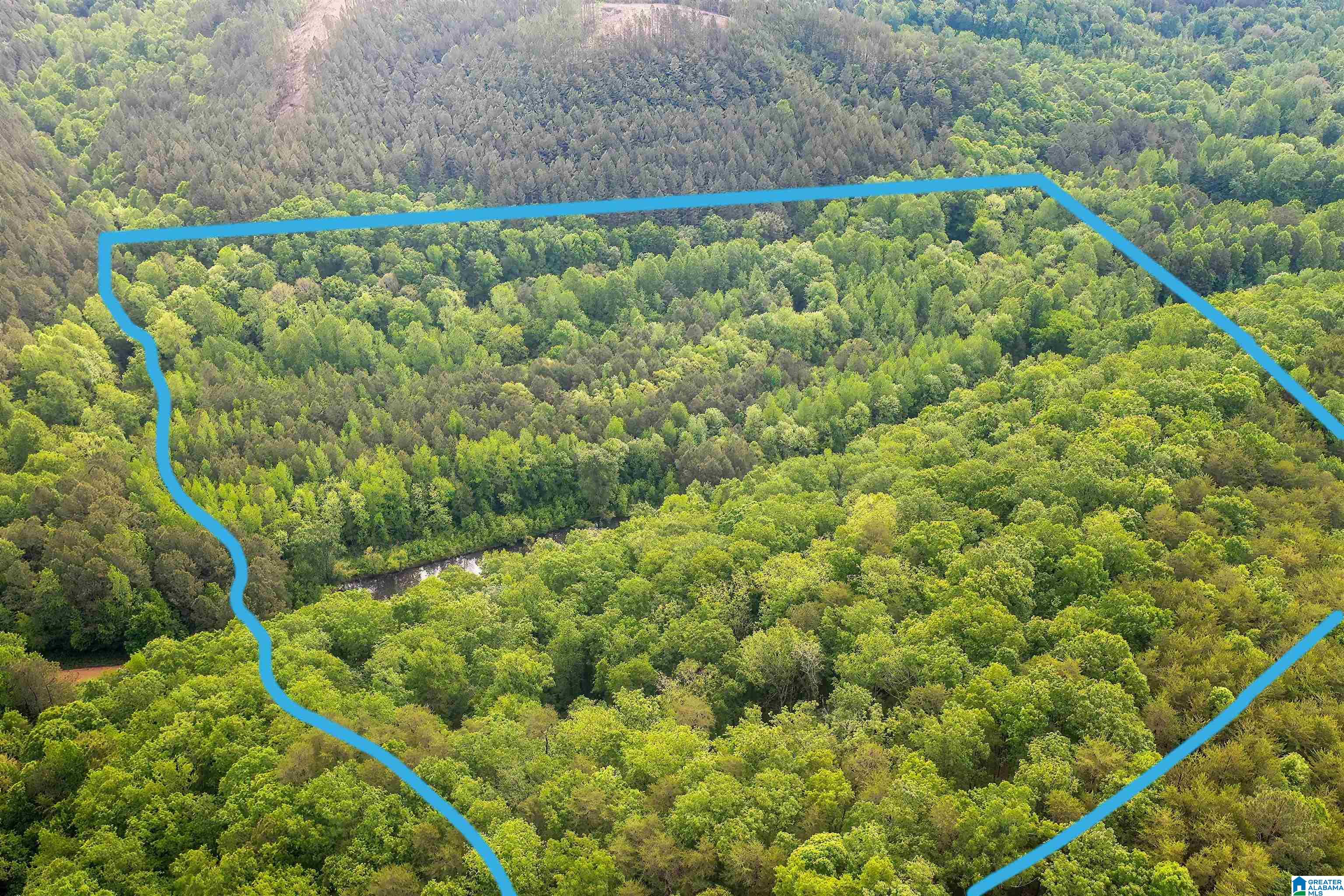 0 Wolf Creek Road Carbon Hill, AL 35549 - Photo 15 of 29