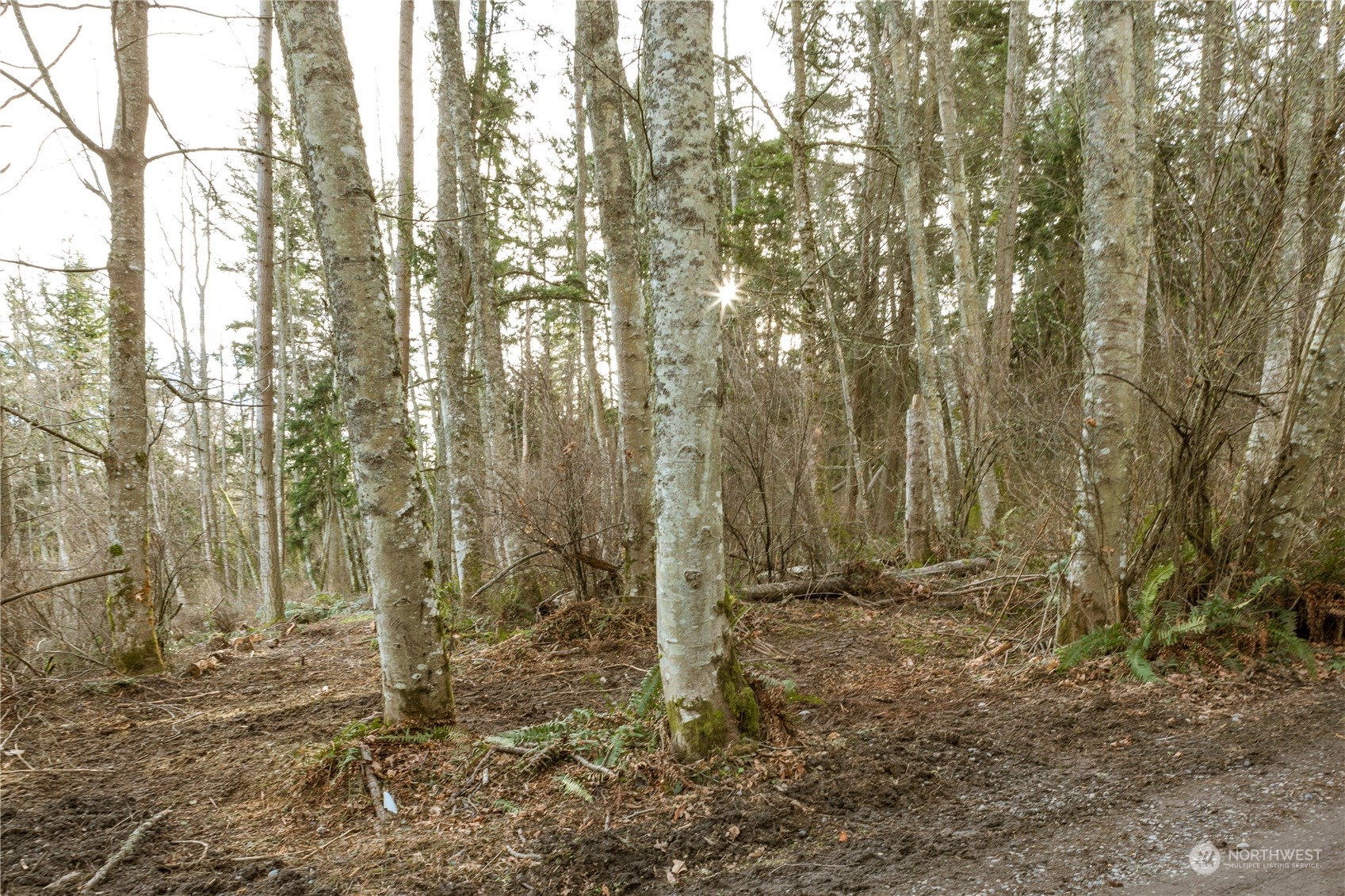 0 Terrace Heights Road Oak Harbor, WA 98277 - Photo 13 of 19 Gallery Image 13