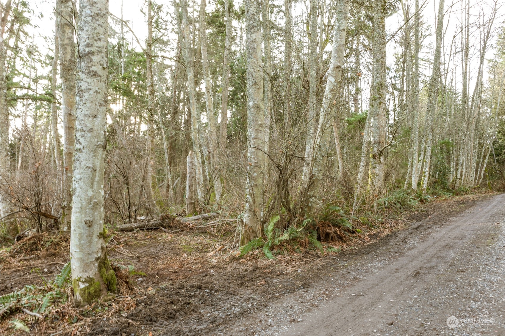0 Terrace Heights Road Oak Harbor, WA 98277 - Photo 14 of 19 Gallery Image 14