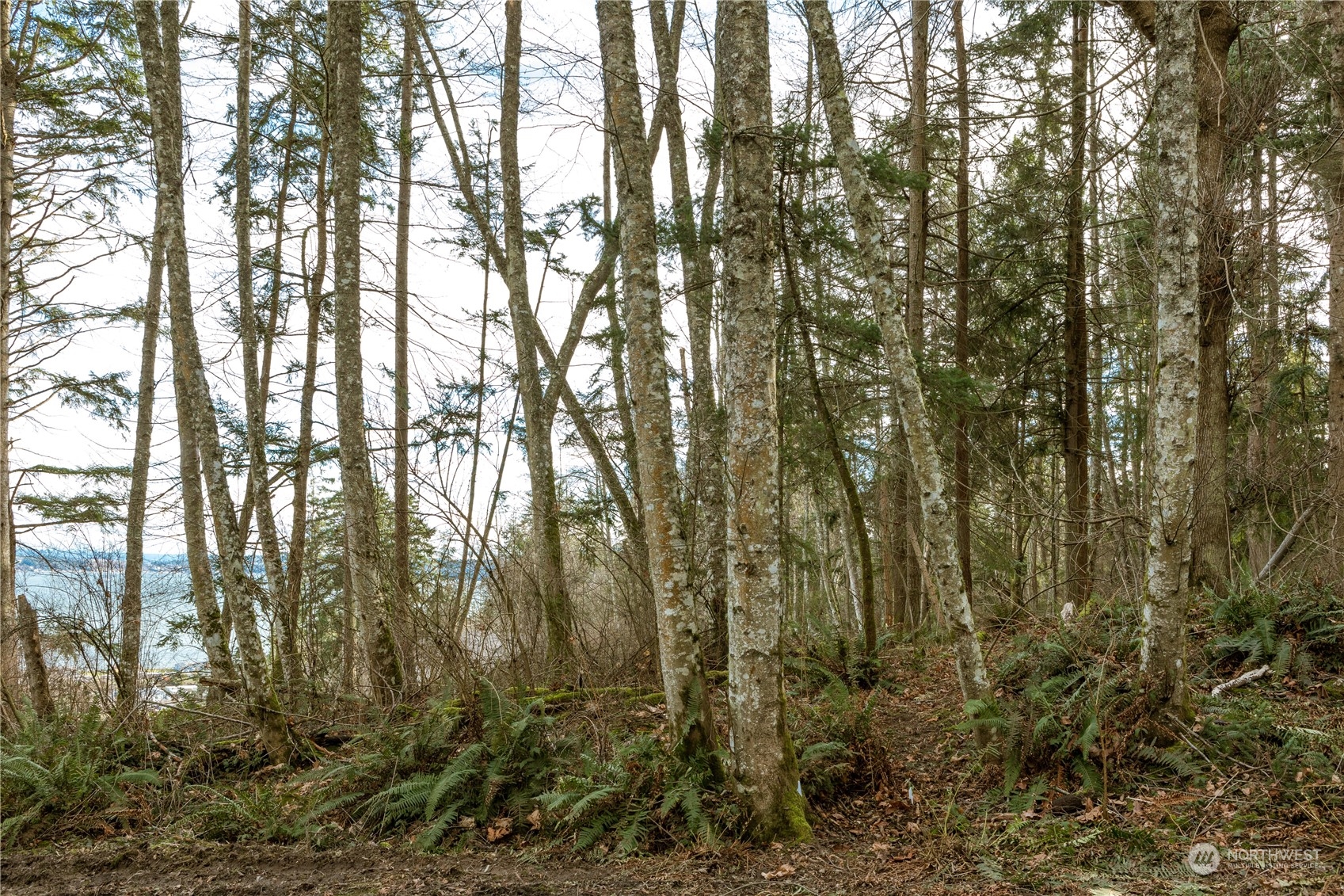 0 Terrace Heights Road Oak Harbor, WA 98277 - Photo 15 of 19 Gallery Image 15