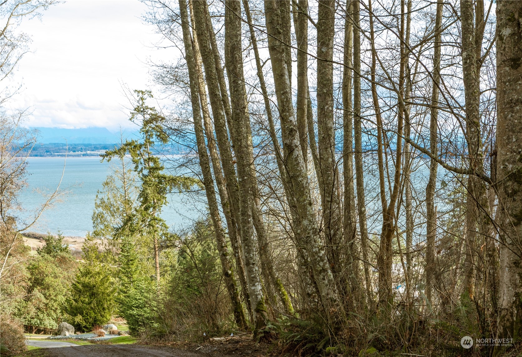 0 Terrace Heights Road Oak Harbor, WA 98277 - Photo 16 of 19 Gallery Image 16