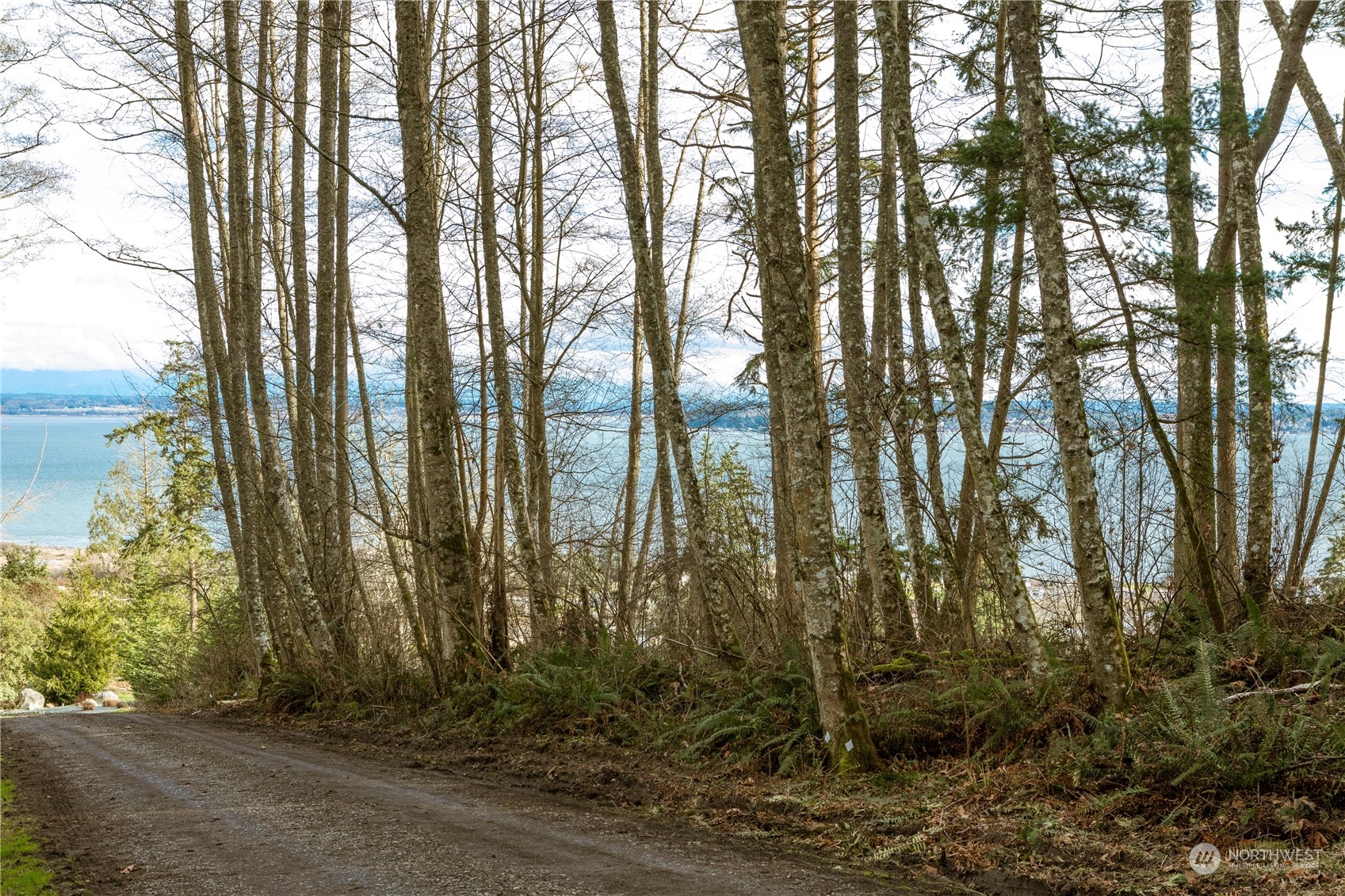 0 Terrace Heights Road Oak Harbor, WA 98277 - Photo 17 of 19 Gallery Image 17
