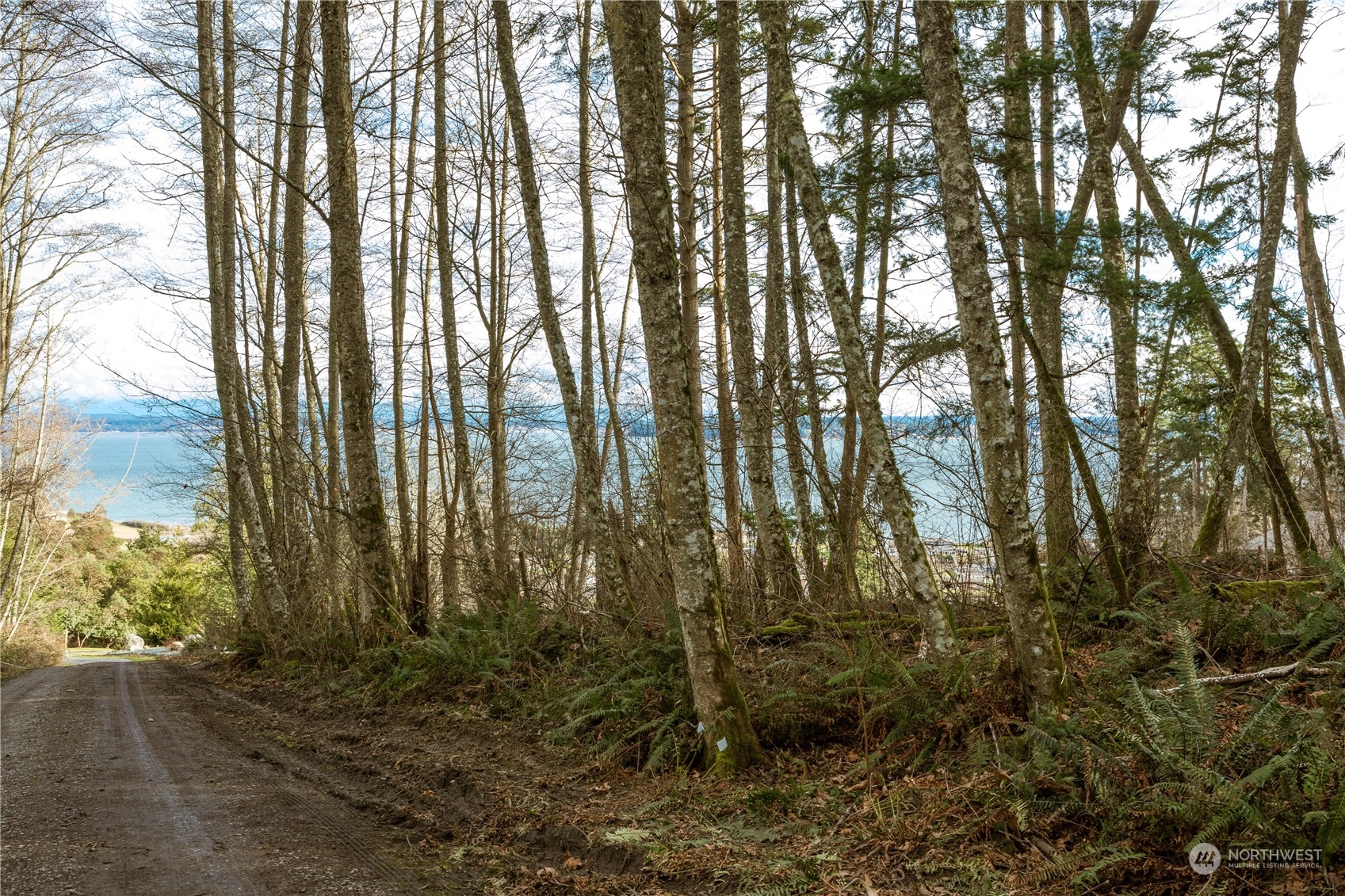 0 Terrace Heights Road Oak Harbor, WA 98277 - Photo 18 of 19 Gallery Image 18
