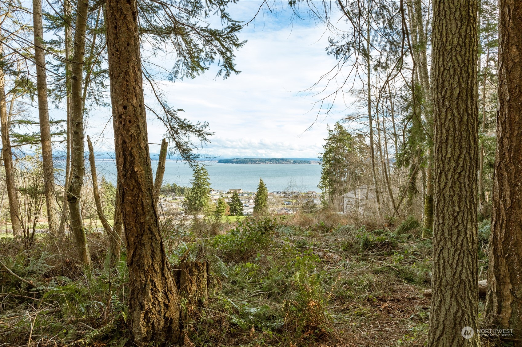 0 Terrace Heights Road Oak Harbor, WA 98277 - Photo 19 of 19 Gallery Image 19