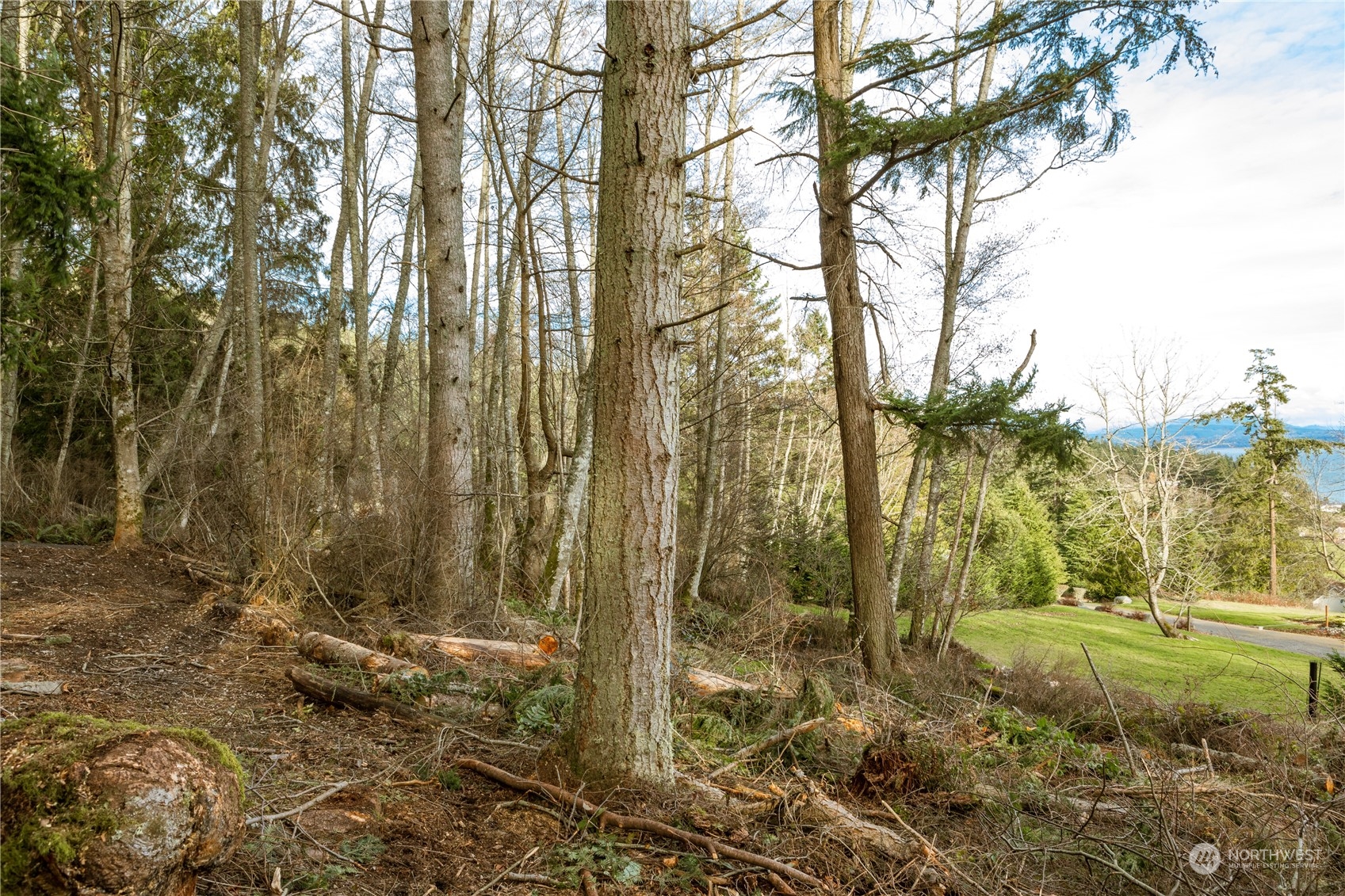 0 Terrace Heights Road Oak Harbor, WA 98277 - Photo 8 of 19 Gallery Image 8