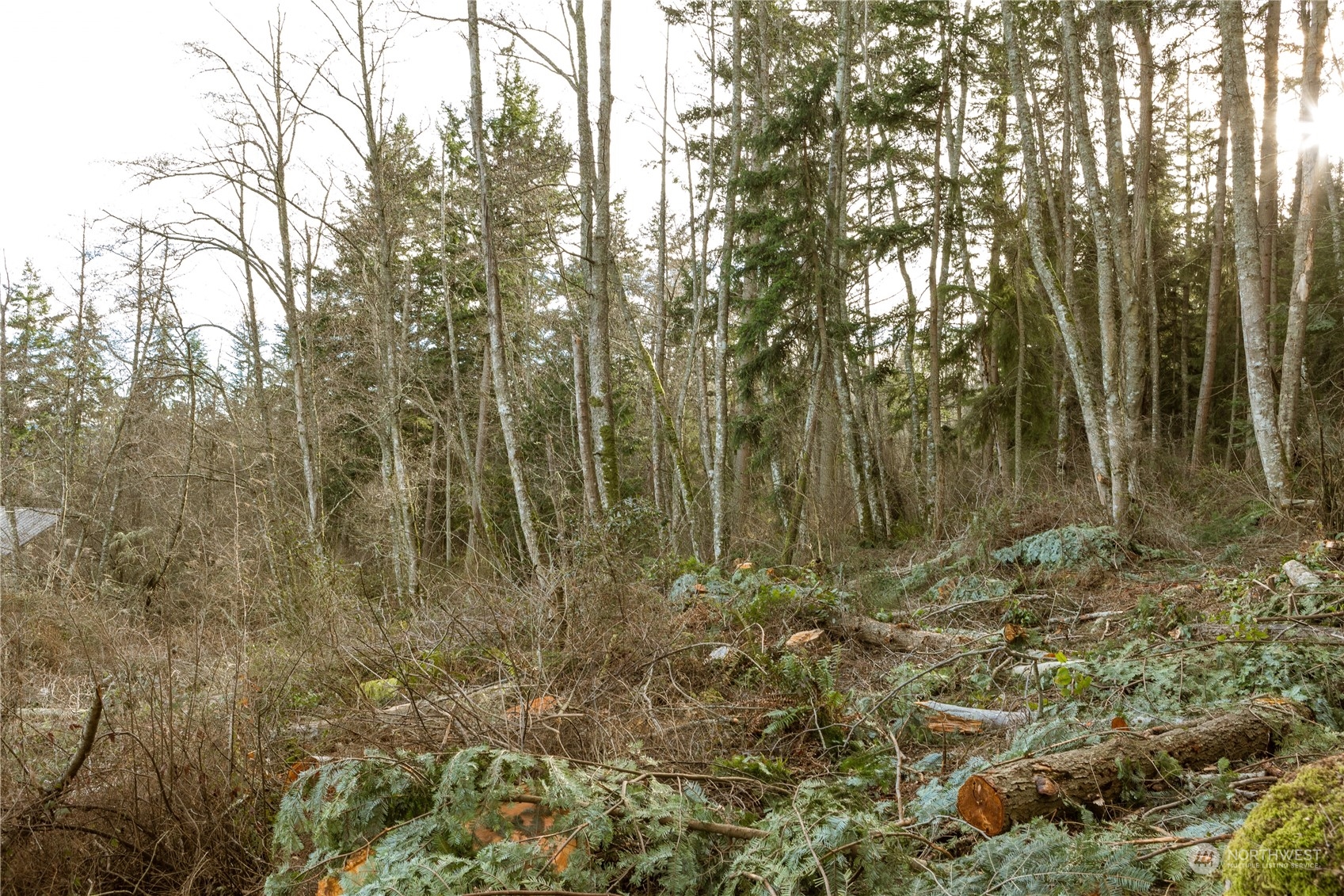 0 Terrace Heights Road Oak Harbor, WA 98277 - Photo 9 of 19 Gallery Image 9